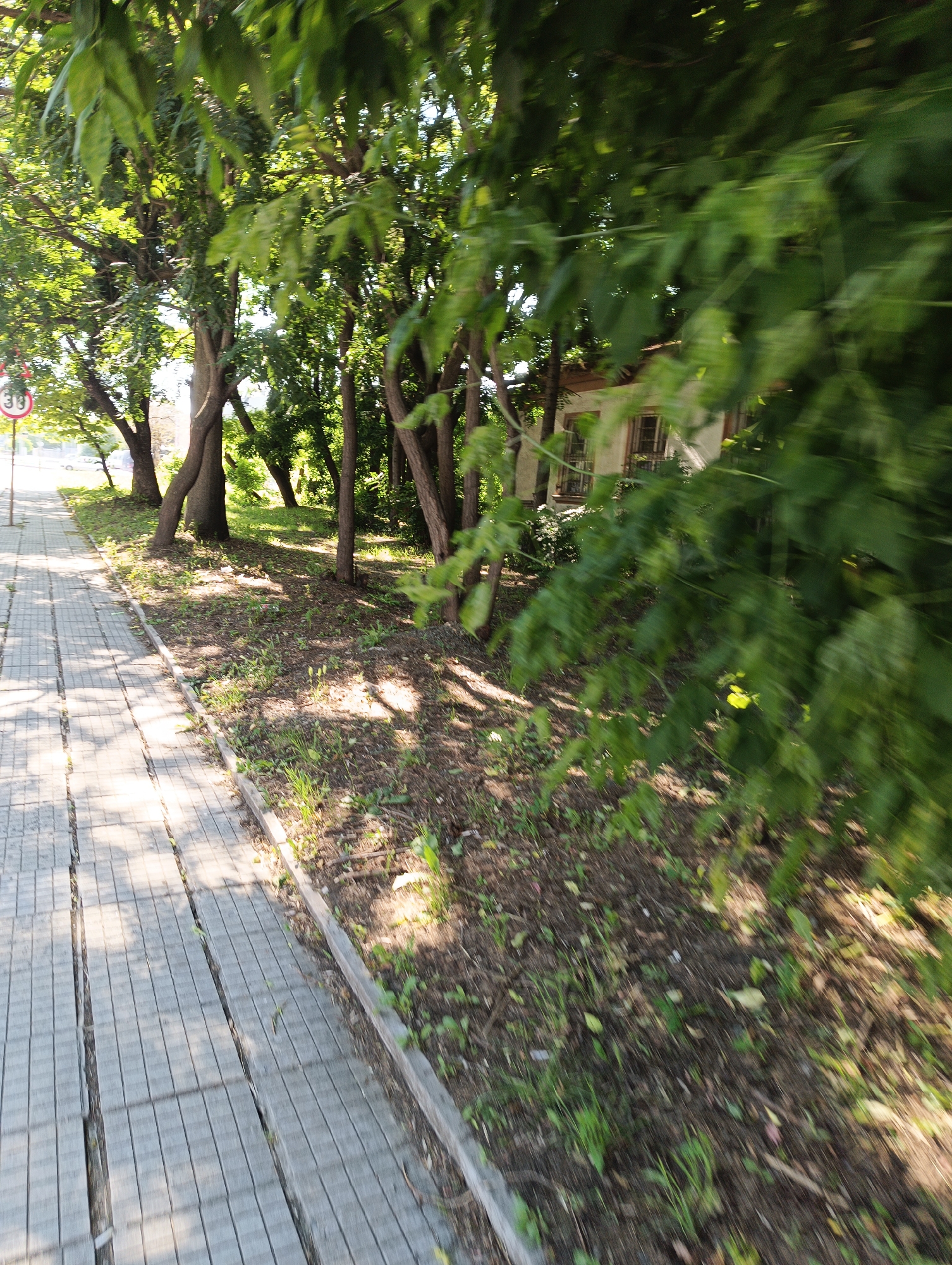 The image depicts a shaded pathway lined with trees and vegetation, bordering a grassy area. A sidewalk made of light-colored paving stones runs along the left side of the frame, with shadows of leaves and branches cast upon it. A circular traffic sign with the number "30" is visible in the upper left corner. Beyond the trees, a building with windows and a light-colored facade is partially visible. The scene appears to be in an outdoor urban or suburban environment, potentially in Karnobat, Bulgaria, given the context. There are no people or animals present in the frame. The image is captured at an angle, suggesting movement.