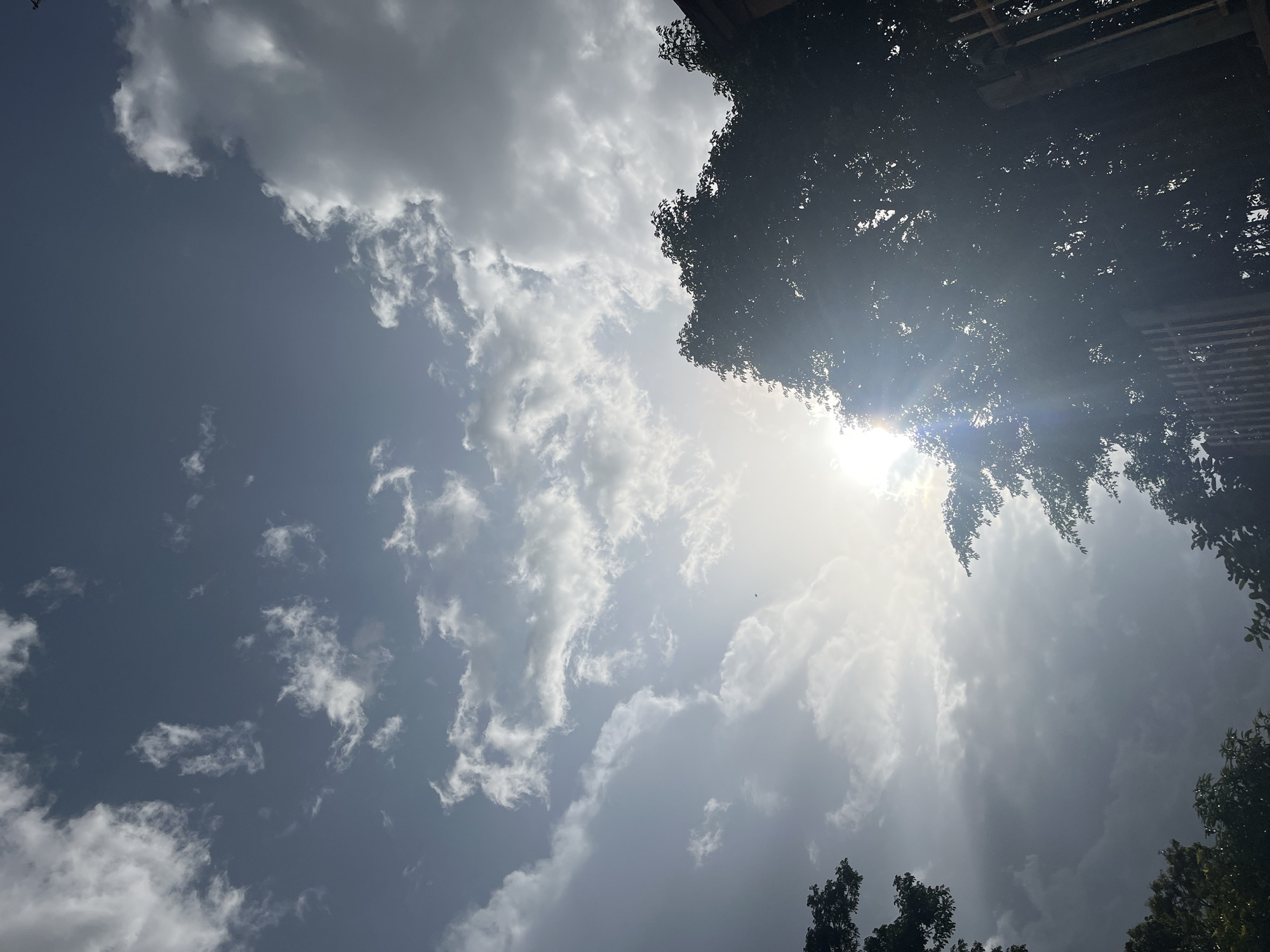 The image shows a view of the sky with scattered clouds, partially obscured by the silhouette of trees and a fence. The sun is visible, creating a lens flare effect and casting rays of light. There is a faint indication of a distant bird in flight. The scene suggests an outdoor environment, possibly a residential area or a park within the city of Jos, Nigeria, given the time of day and atmospheric conditions. The lighting indicates either early morning or late afternoon.