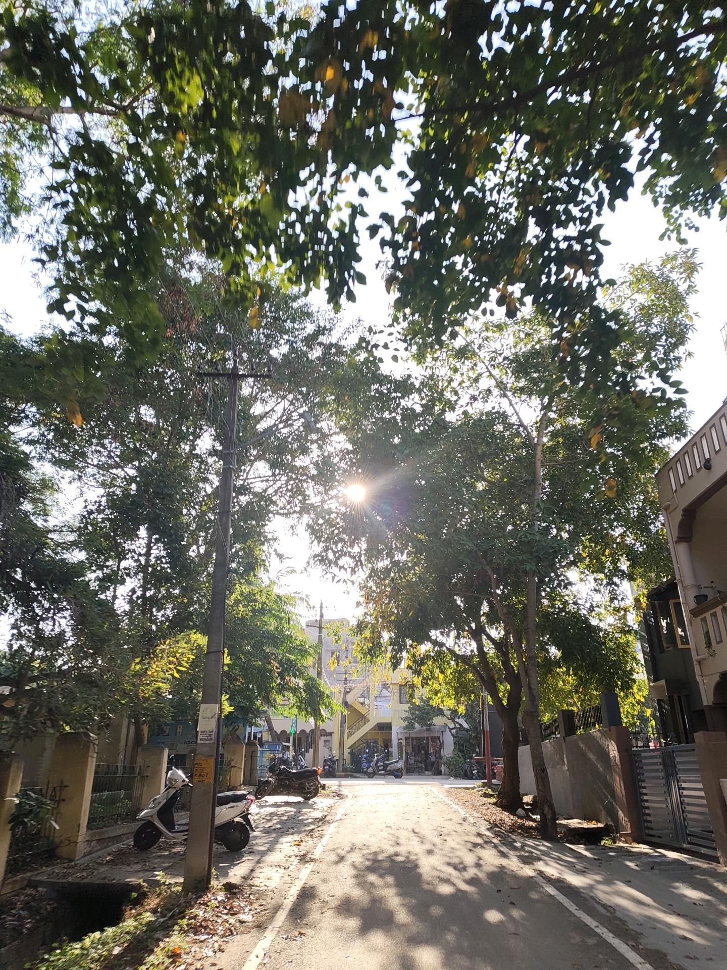 The image depicts a street scene in Mysuru, India, bathed in bright sunlight filtering through dense tree foliage. A paved road runs through the center, bordered by sidewalks and buildings. Several parked motorbikes are visible on the street and sidewalk. A utility pole stands prominently on the left side of the road, with wires strung between it and unseen structures. The architecture of the buildings suggests a residential or mixed-use area, with some structures featuring decorative elements and balconies. The overall atmosphere is one of a quiet, sun-drenched urban environment.