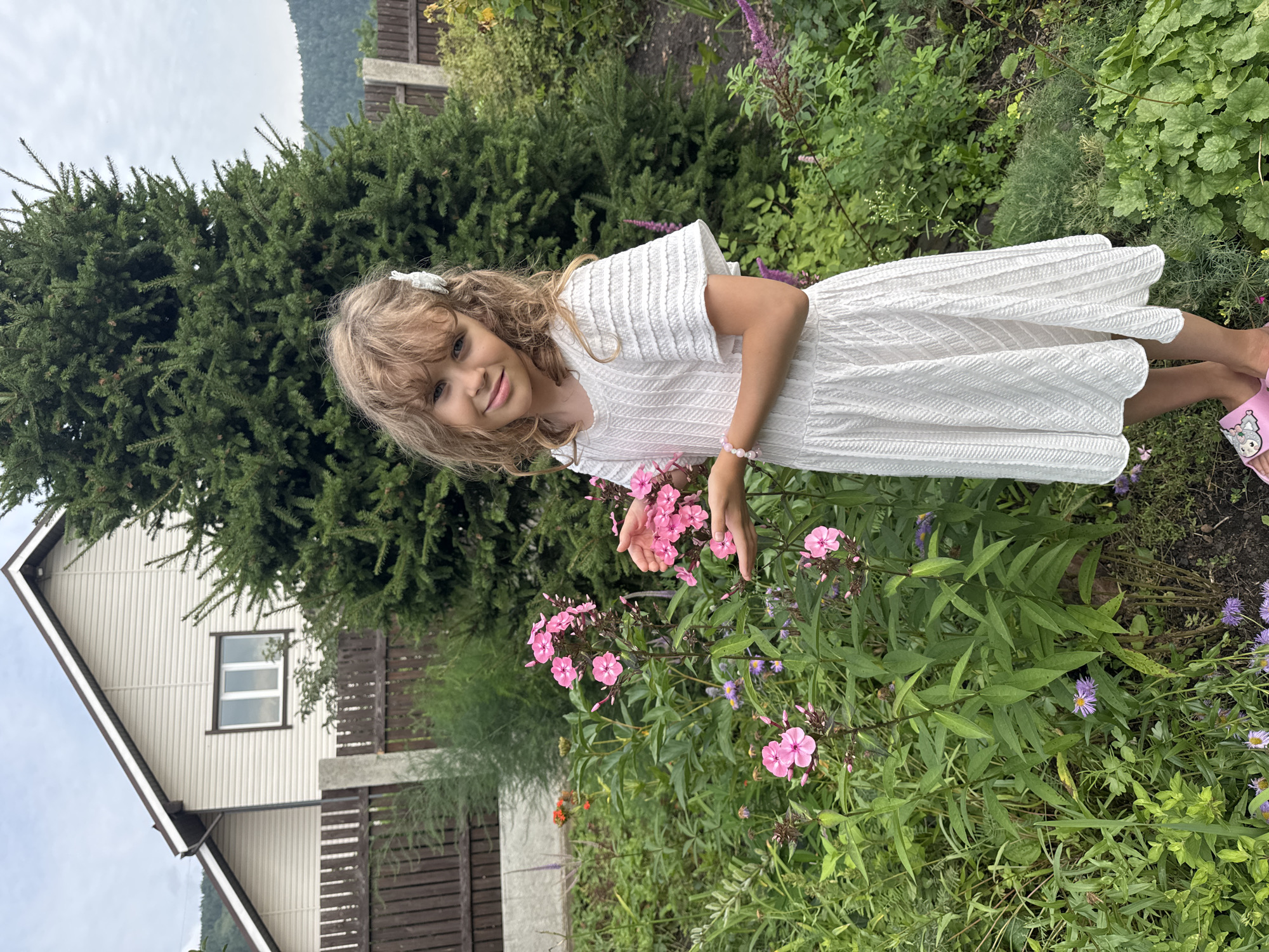 A young girl with blonde, curly hair is standing in a garden in the village of Mansky, Russia. She is wearing a white, textured dress and pink sandals with cartoon characters on them. Her hands are outstretched, holding pink flowers. In the background, there is a house with beige siding and a dark brown roof, a wooden fence, and a large evergreen tree. The garden is filled with various green plants and flowers, including pink phlox and purple asters. The sky is overcast.