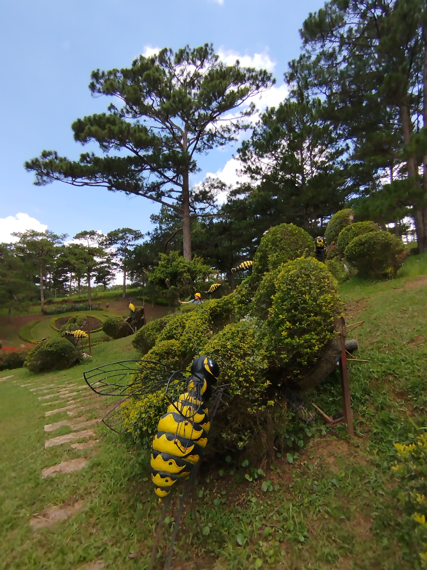 The image shows a park landscape with topiaries shaped like bees, a common decorative element in the Lam Vien - Da Lat area of Vietnam. In the foreground, a large, colorful bee sculpture made of wire and painted yellow and black is prominently displayed. This sculpture is situated next to a winding path made of stone slabs and surrounded by lush green grass and bushes. In the midground, more topiaries are visible, including a cluster of bee sculptures nestled amongst manicured bushes on a gentle slope. Further in the background, a variety of trees, including tall pine trees, form a natural backdrop. The sky is blue with scattered white clouds, indicating fair weather. The scene suggests a tourist attraction or a public garden designed for aesthetic appeal.