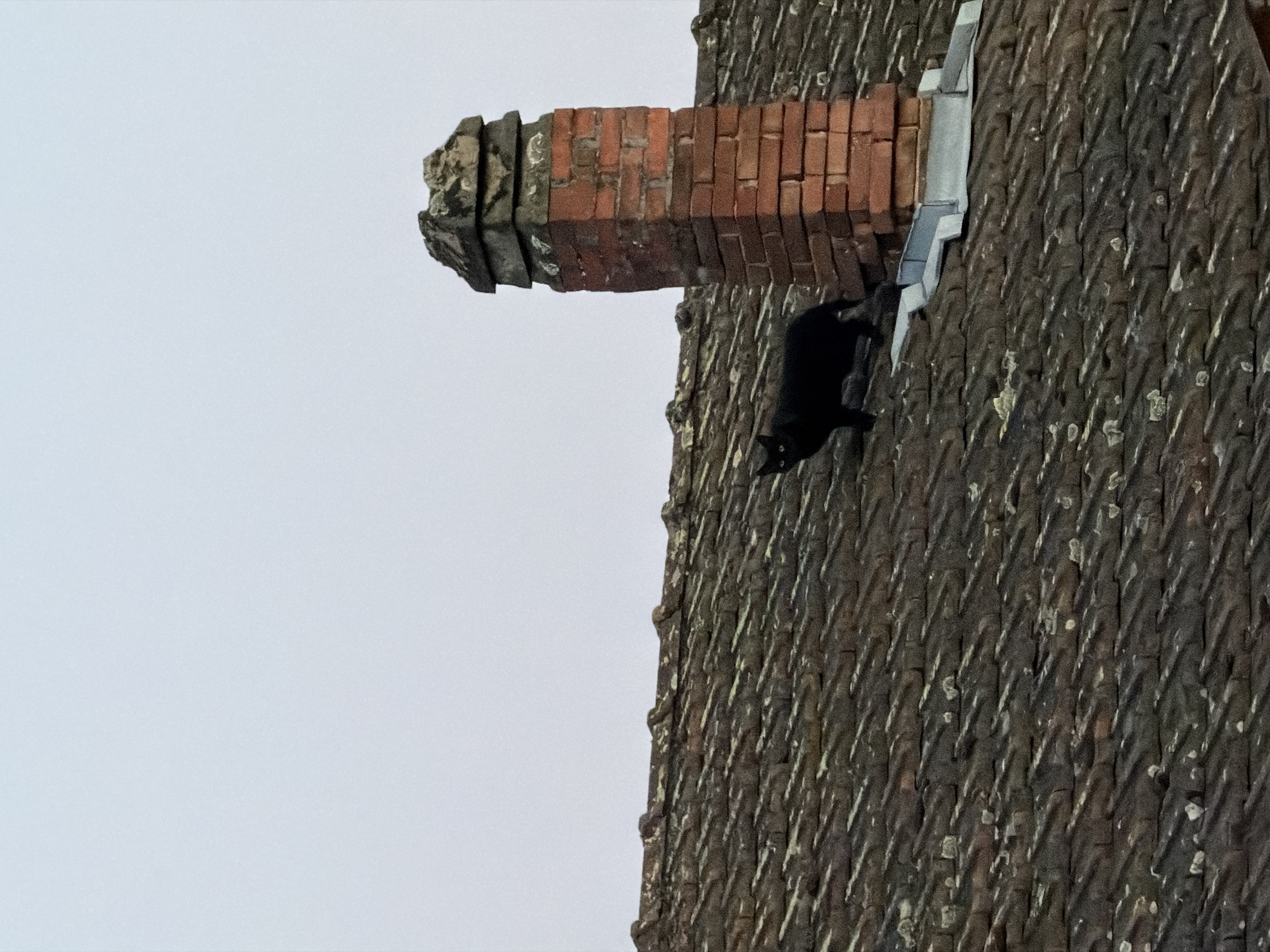 A black cat stands on a clay tiled roof in Saint Antoine l'Abbaye, France. The cat is facing left with its tail slightly raised. To the right of the cat is a brick chimney with a stone cap. The sky is overcast and light in color. The roof tiles are weathered and uneven.