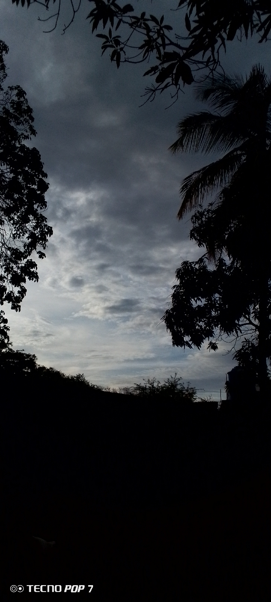 The image shows a dark, silhouetted landscape against a cloudy sky. The foreground is dominated by a very dark, almost black, hill with vegetation. The sky is filled with varying shades of gray and white clouds, suggesting an overcast or twilight condition. On the left side of the frame, tree branches with leaves are silhouetted against the sky. On the right side, the fronds of a palm tree and other silhouetted foliage are visible, also against the cloudy sky. The bottom left corner of the image contains a watermark that reads "TECNO POP 7". The overall impression is one of a natural scene viewed at dusk or during a heavily clouded day, with the town of Altagracia, Venezuela, not explicitly visible but implied to be the setting.
