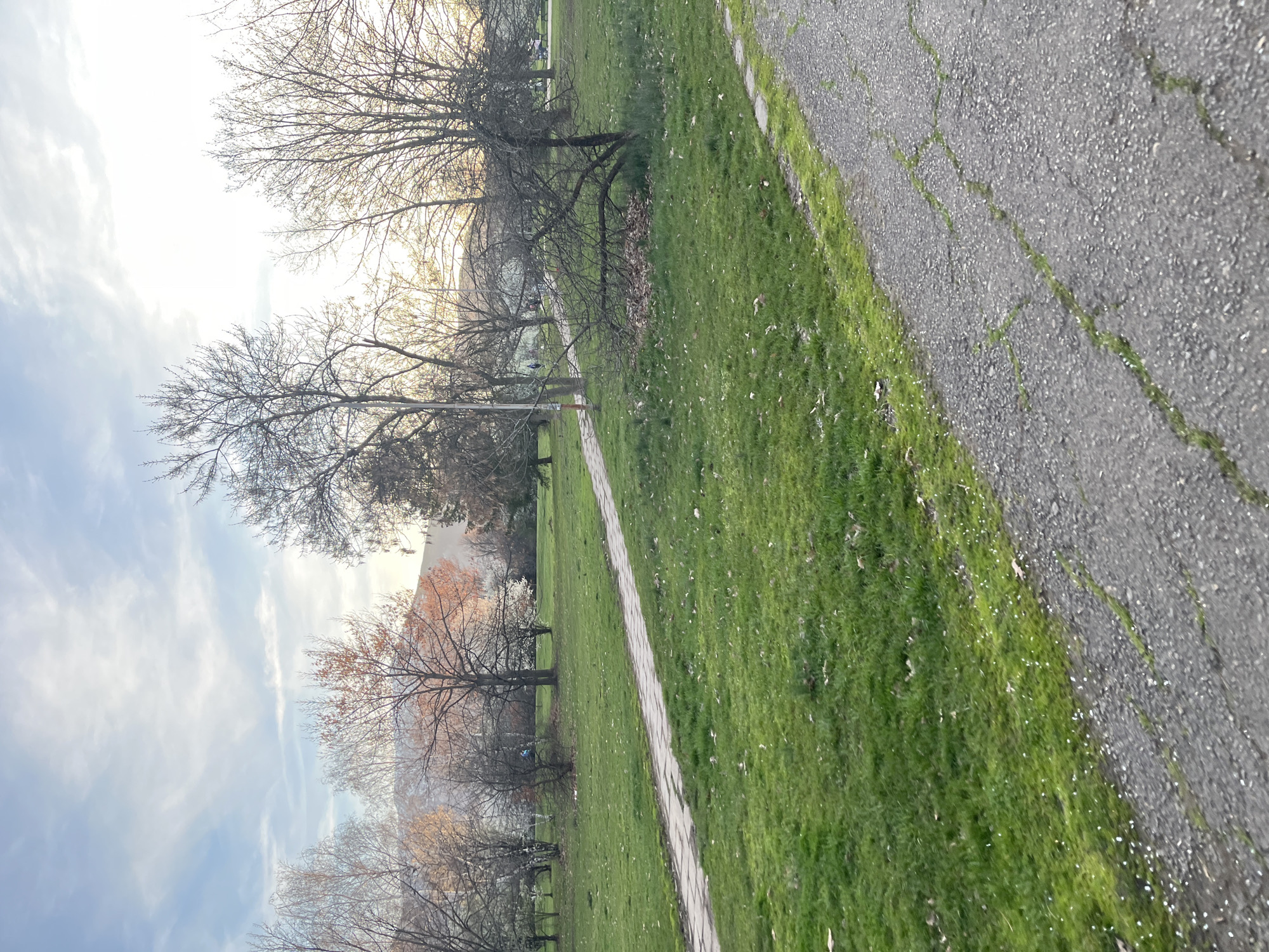 The image shows a park-like setting in Unknown, Unknown. The scene is dominated by a path running diagonally across the frame, with green grassy areas on either side. A cracked asphalt road borders the grass on one side. Trees, many without leaves, are visible, suggesting it could be late fall or early spring. The sky is visible through the branches of the trees, showing a mix of clouds and clear sky.