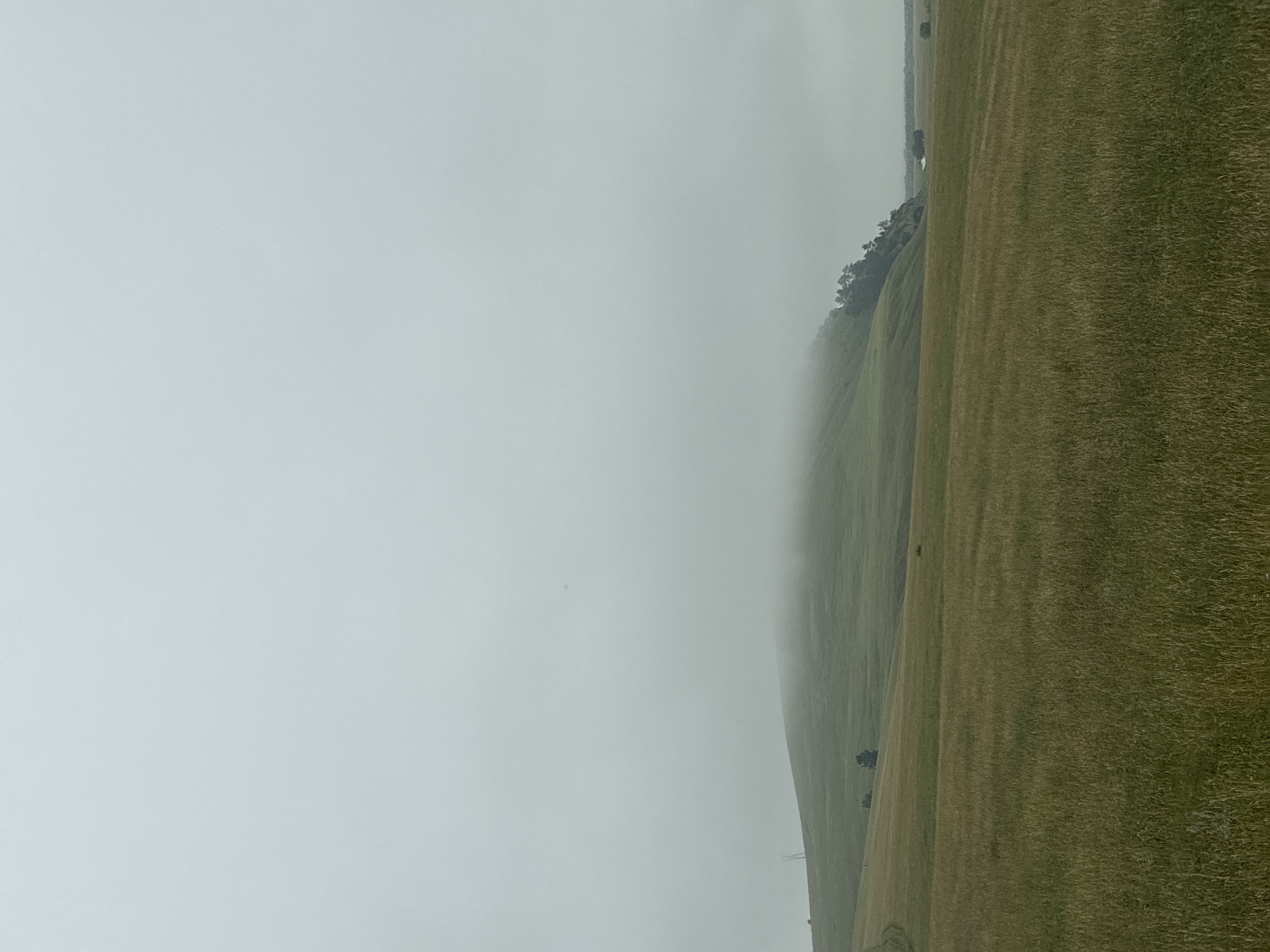 The image shows a landscape with rolling green hills and a field of tall grass in the foreground. The sky is overcast and a low-lying fog partially obscures the top of one of the hills, giving it a misty appearance. There are a few scattered trees on the hillsides and a single power line tower visible in the distance. The overall mood is serene and natural, with a hint of mystery due to the fog. The location is not specified within the city of Ust'-Ordynskii, Russia, but it appears to be a rural or semi-rural area.