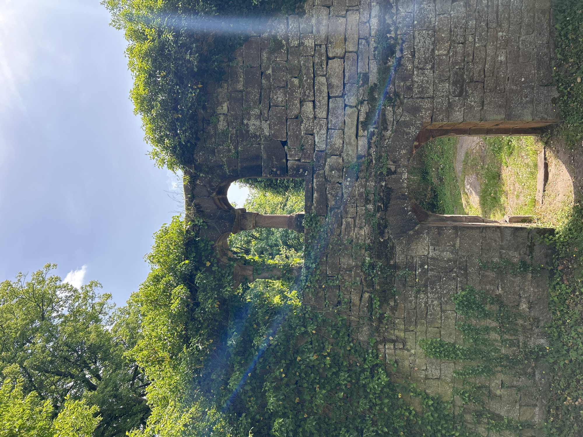 The image shows a weathered stone structure, possibly ruins, overgrown with vegetation. The structure features archways and openings, suggesting it may have been part of a building or wall. Light streams through the openings, creating a sense of depth and highlighting the textures of the stone. The surrounding environment appears to be a wooded area, with trees visible in the background. Based on the location in the city of Eberbach, Germany, this is most likely the ruins of the Eberbach Abbey.