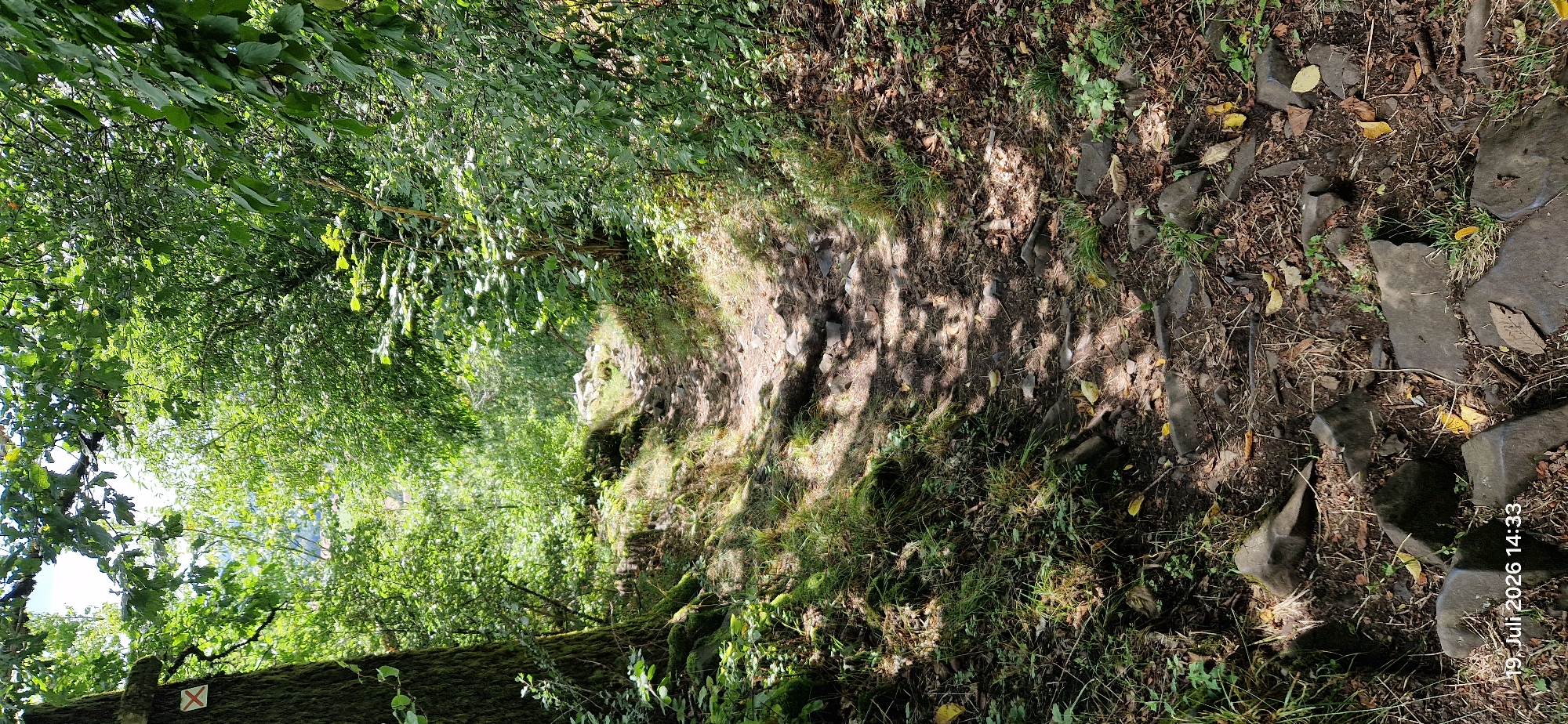 The image shows a rocky, uphill hiking path winding through a dense, sun-dappled forest. The path is covered in loose stones and dirt, with patches of grass and moss growing along the edges. Sunlight filters through the canopy of green leaves, creating a dappled effect on the path. A large tree trunk with moss is visible on the left side of the path, marked with a red 'X' symbol. In the background, the forest continues, with more trees and foliage. The overall impression is one of a natural, somewhat wild, outdoor environment. The timestamp "19. Juli 2026 14:33" is visible in the bottom left corner of the image. This scene is located on the historic "Maximiliansweg" long-distance hiking trail in Neustadt am Kulm, Germany, specifically on a section leading up towards the Kulm.