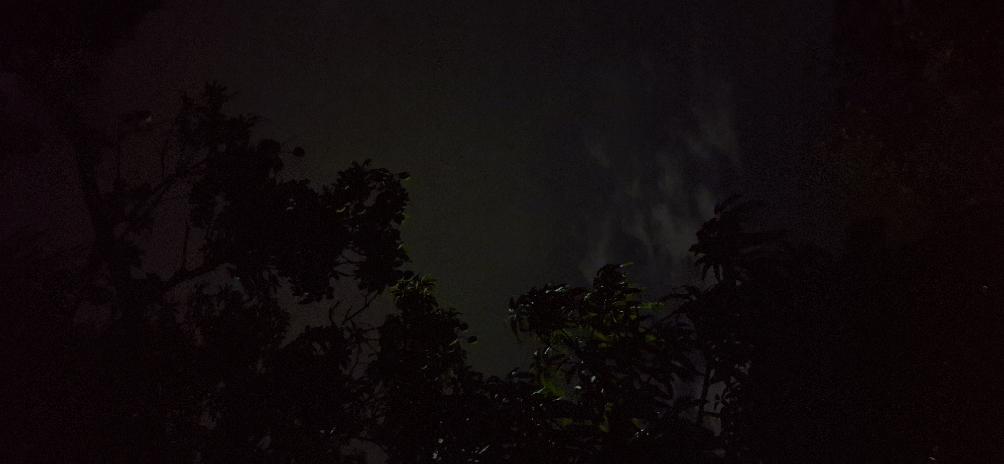 A dimly lit, outdoor scene at night features the silhouette of foliage against a faintly illuminated, hazy sky. The foliage, appearing to be a tree with leaves and what might be fruit, occupies the left side of the frame and extends towards the top. The background is dark, with subtle variations in tone suggesting clouds or mist. The image is grainy, indicative of low-light photography. The location is specified as Vallecito, Venezuela. There are no people or identifiable human activity present in the image.