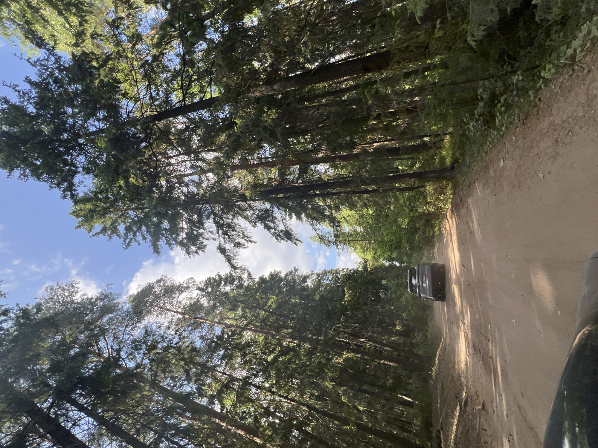 A slightly rotated, medium-shot captures a dirt road running through a forest, likely in a rural or wilderness area. The road, tan in color, leads into the distance. On the road, a gray vehicle travels away from the viewer. The forest features tall, green trees on either side of the road, their canopies partially obscuring a sky with scattered clouds. The sky is visible in segments, with a blend of blue and white from the clouds. The vehicle on the road kicks up dust. The specific location in the city of Chaikovsky, Russia cannot be ascertained from the provided image alone.