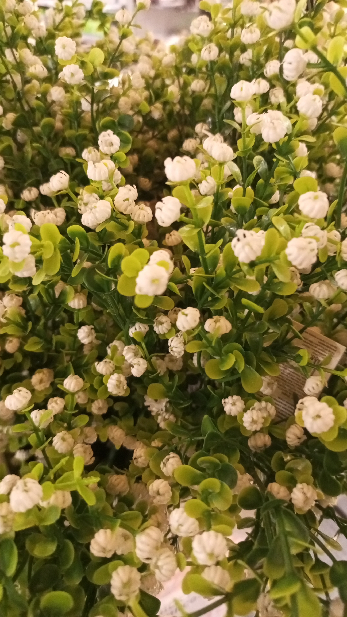 A dense cluster of small, artificial white flowers with green leaves fills the frame. The texture of the flowers appears slightly textured, while the leaves have a smooth, glossy finish. The image is tightly cropped, giving a close-up view of the flora. The location is unavailable from the image.
