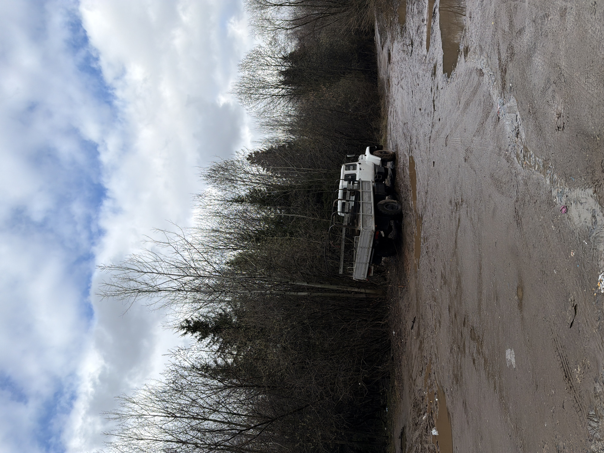 This image depicts a rugged outdoor scene, likely in Izhevsk, Russia, dominated by a white flatbed truck parked on a very muddy, unpaved surface. The truck, positioned on the right side of the frame, is a robust utility or off-road vehicle with a metal cage-like structure on its flatbed and prominent, thick tires.
To the left and extending into the background, a dense forest or thicket of bare deciduous trees indicates either late autumn, winter, or early spring, with some evergreen foliage visible within. The sky above is largely overcast, featuring broad bands of white and light gray clouds, with hints of blue showing through in patches.
The ground, which occupies a significant portion of the image, is a deeply rutted and uneven expanse of dark brown mud, covered in numerous puddles and distinct tire tracks from vehicles. The wet conditions suggest recent rain or a generally damp environment. There are no people visible, and no specific activity is taking place; the truck appears to be stationary. No discernible text is present in the image. The overall setting conveys a sense of a remote or industrial area characterized by challenging terrain and a cool, damp climate.