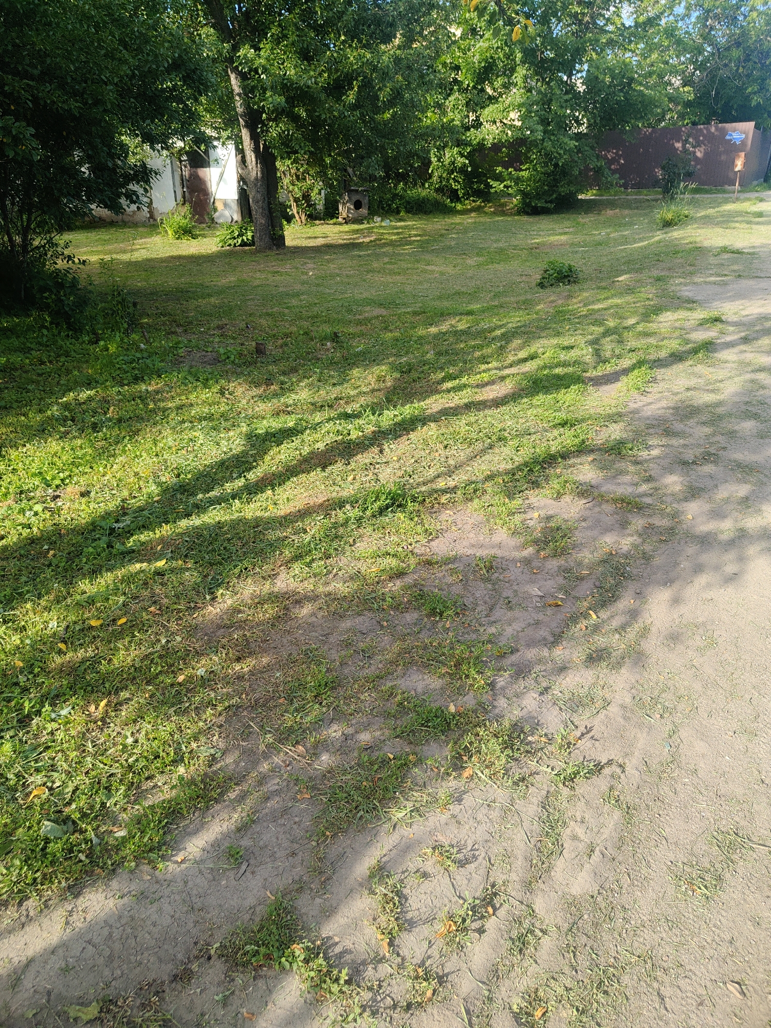 A low-angle medium shot captures an outdoor scene dominated by a patch of dirt path transitioning into a grassy area with scattered shadows from overhead trees. In the background, a building with a white facade and a brown door is visible, partially obscured by dense green foliage. To the right of the building, a small, dark, wooden structure, possibly a doghouse, sits on the grass. Further to the right, a tall, dark brown fence runs horizontally across the frame, topped with the suggestion of a wooden fence post on the far right. The lighting suggests a bright day, possibly late afternoon, with the sun casting long, distinct shadows across the ground. The overall impression is of a somewhat unkempt yard or open space adjacent to a building.