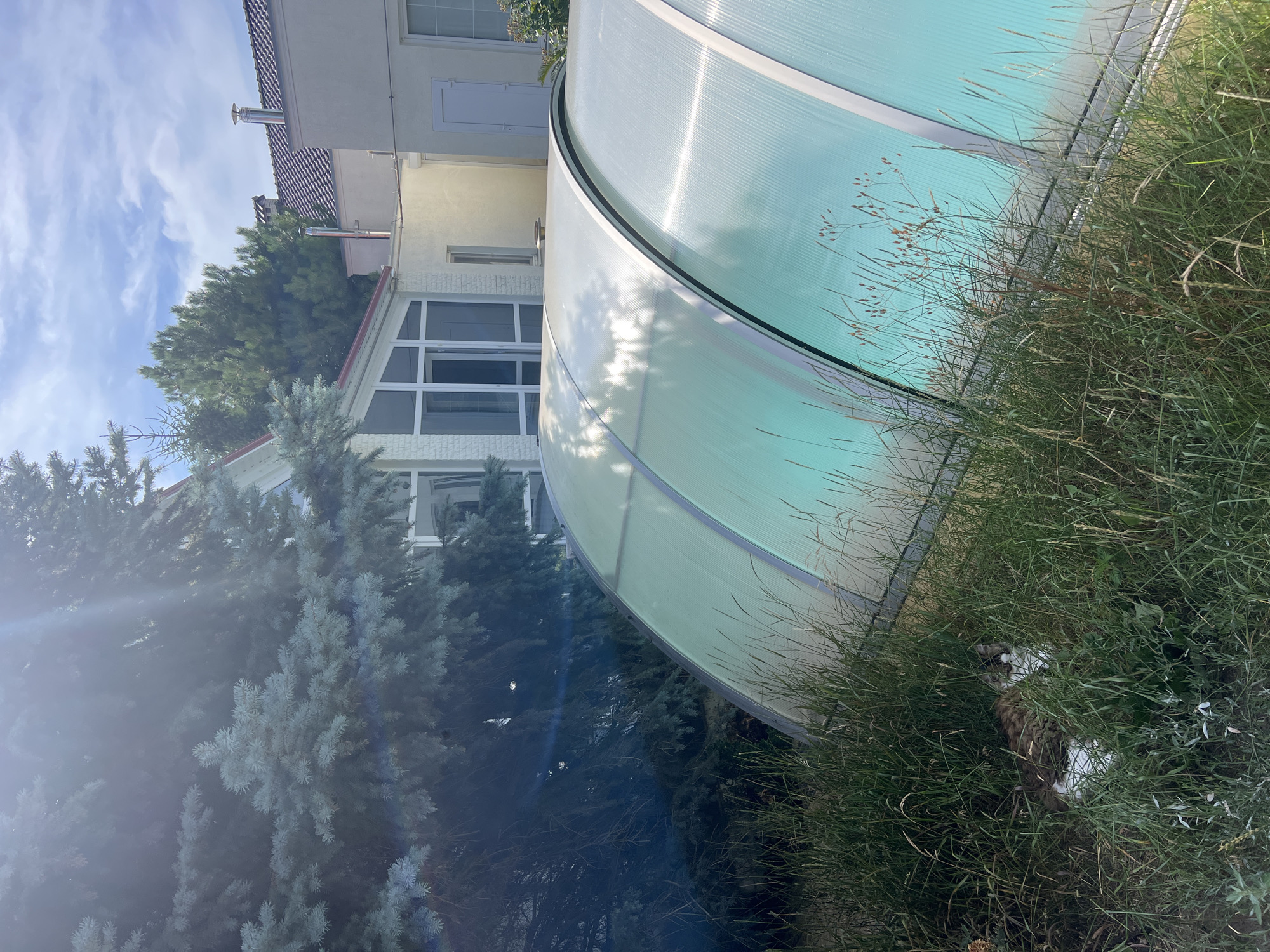 In the city of Fontanka, Ukraine, a domestic cat with mottled brown, white, and gray fur is lying in tall, green grass next to a transparent, arched pool cover. The pool cover is made of a ribbed, translucent material supported by a silver frame, and it appears to be covering a turquoise-colored pool. Behind the pool cover, a light-colored, two-story house with a red-tiled roof is visible. Adjacent to the house is a large evergreen tree with blue-green needles. The sky above is blue with scattered white clouds. The scene is illuminated by bright sunlight, which creates lens flare in the upper left quadrant of the image.