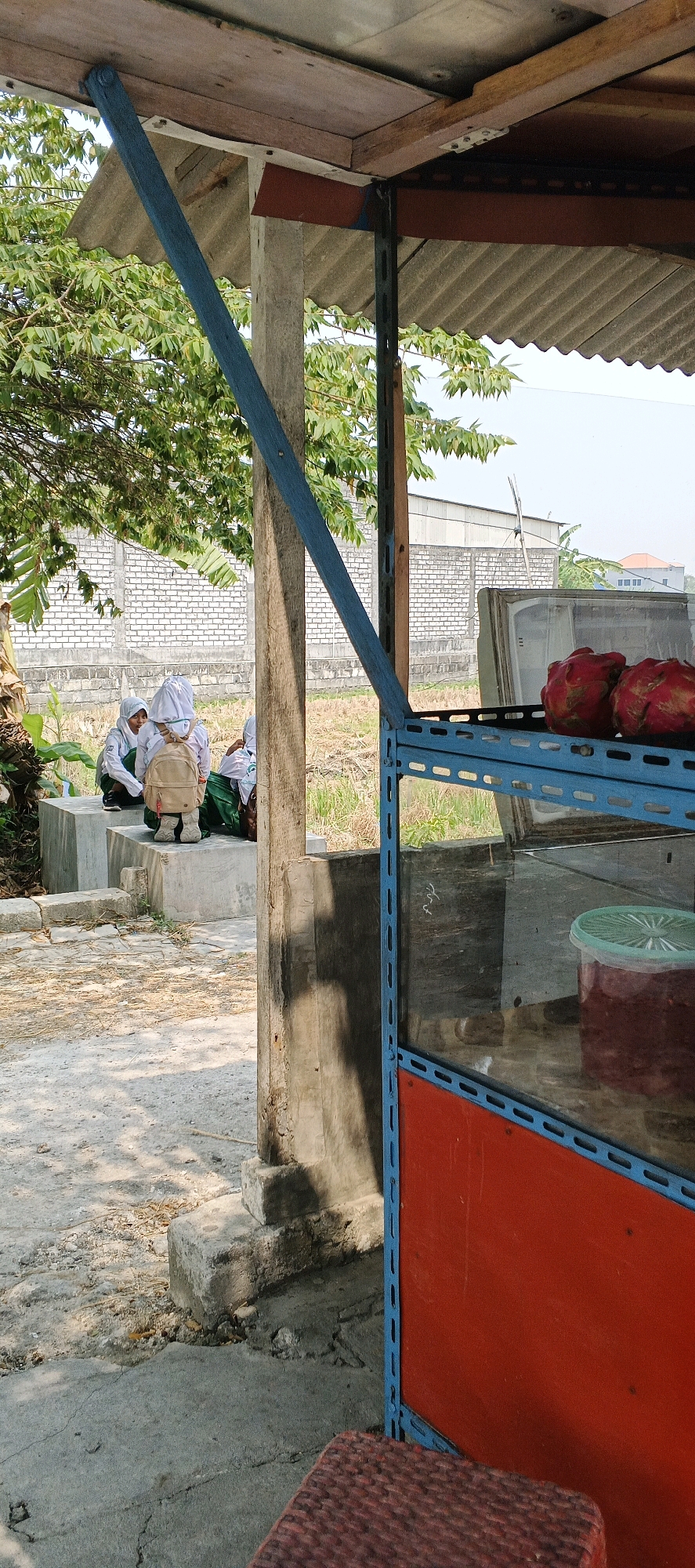 The image depicts an outdoor scene in Sonoadi, Indonesia, featuring a small roadside stall or shelter. In the background, several young individuals wearing school uniforms and hijabs are seated on a concrete structure, appearing to be conversing or resting. One individual faces away from the camera, wearing a tan backpack.
The stall itself is constructed with a corrugated roof supported by wooden posts and a blue diagonal brace. To the right of the scene, a blue metal shelf unit with red panels is visible. This unit holds a glass enclosure containing two red fruits, likely dragon fruit, and a green-lidded container with a reddish substance inside. The ground is a mix of concrete and dry grass, with shadows cast by the structure and surrounding trees. A white brick wall and some buildings are visible in the far background, suggesting an urban or semi-urban environment. The lighting indicates it is daytime, with clear skies.