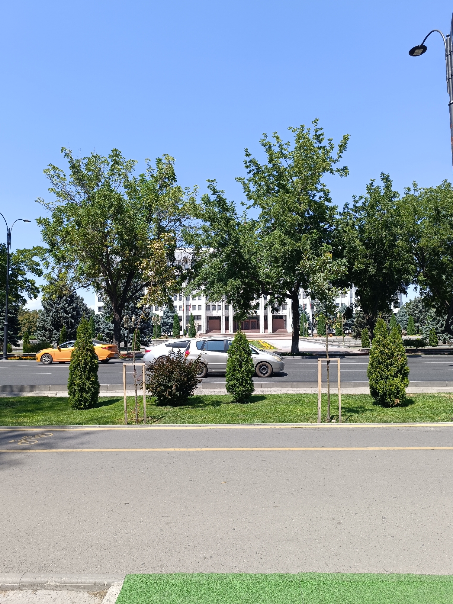 This image depicts a street scene in Bishkek, Kyrgyzstan, likely during daylight hours with clear weather. In the foreground, a paved road with a yellow line marking a bike lane is visible. Beyond the bike lane, a grassy median with several small evergreen trees and a young sapling is present. Further back, a multi-lane road carries traffic. On the road, a yellow sedan is traveling to the left, and a silver sedan is traveling to the right. In the background, a large, white building with columns and a symmetrical facade is situated behind a row of mature trees. A lamppost is visible on the right side of the frame. The overall environment suggests an urban setting with well-maintained landscaping.