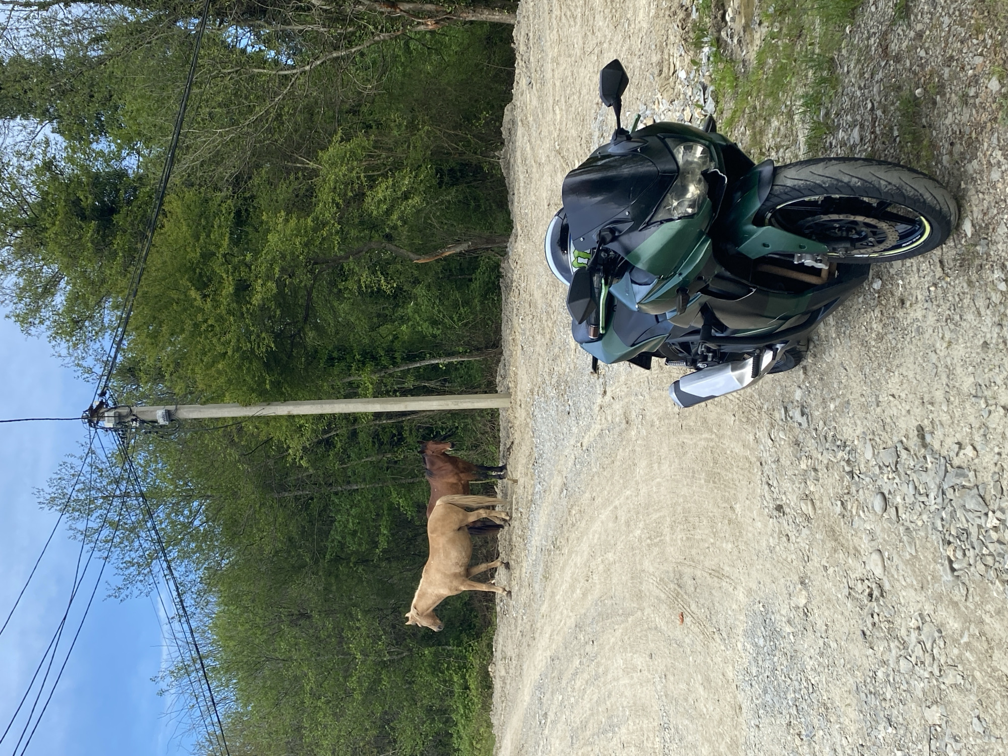 A motorcycle is parked on a dirt road in what appears to be a wooded area. Two horses are standing on the side of the road near a telephone pole. The sky is visible in the background. I do not know the location.