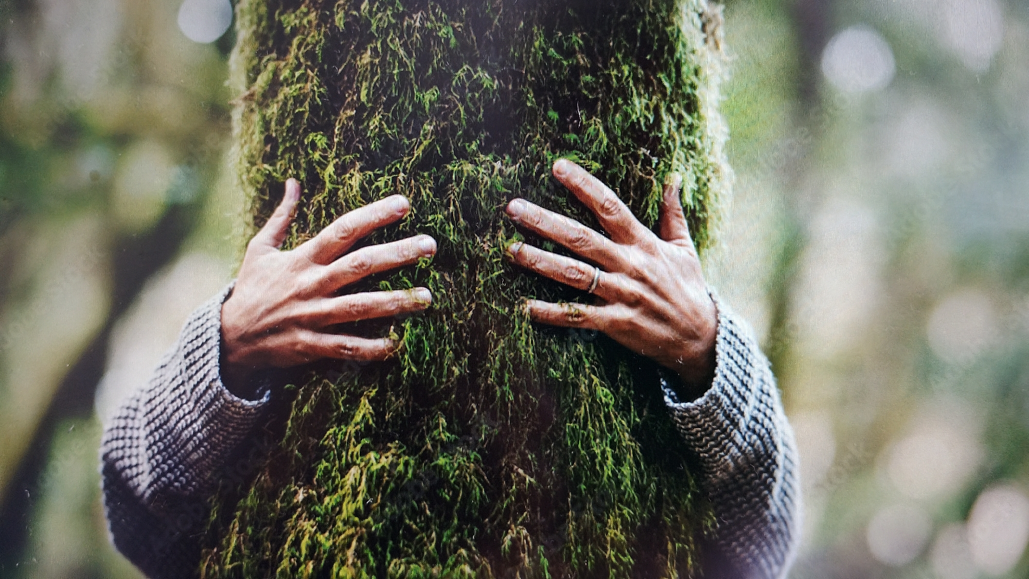The image depicts a close-up of a person's arms and hands embracing a tree trunk covered in thick green moss. The hands, one wearing a ring, are positioned on either side of the trunk, suggesting a hug. The person is wearing a textured, grey knitted sweater. The background is blurred, showing a natural environment with out-of-focus foliage and light. The scene is likely located in a forest or wooded area, potentially within the city of Smolyan, Bulgaria, known for its natural beauty and abundant forests. The overall impression is one of connection with nature.