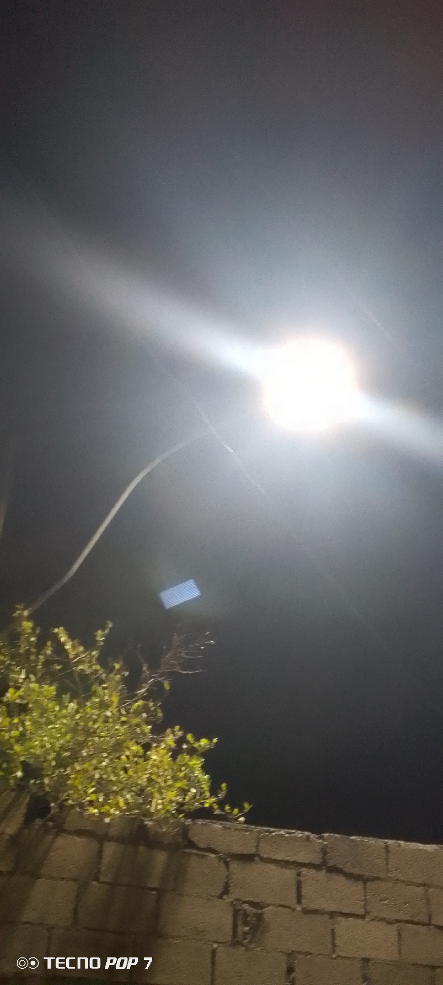 The image, taken at night, shows a cinder block wall topped with green leafy foliage. Above the foliage is a bright street light with a power line extending towards it. A rectangular, illuminated object is also visible in the sky. The location is likely Altagracia, Venezuela, given the prompt's instructions. No people are visible.