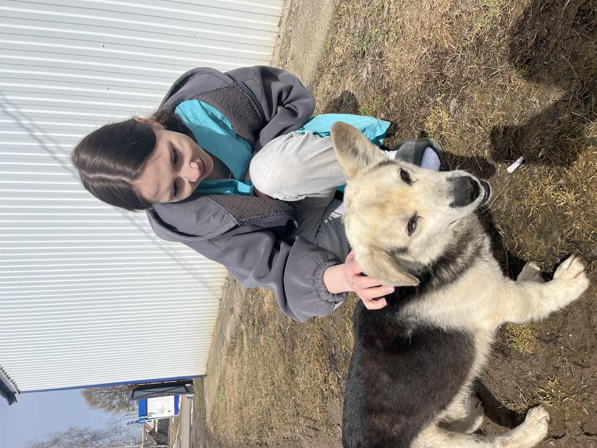 The image depicts a young woman interacting with a dog in what appears to be a rural or semi-rural area. The woman is kneeling on the ground, wearing a gray jacket with a blue inner layer and gray pants. She is looking at the dog and has her hand on its neck, seemingly petting it. The dog is predominantly white with black markings on its back and head. The ground is covered with dry grass and mud. In the background, there is a white corrugated metal building. The location is Норья, Russia.