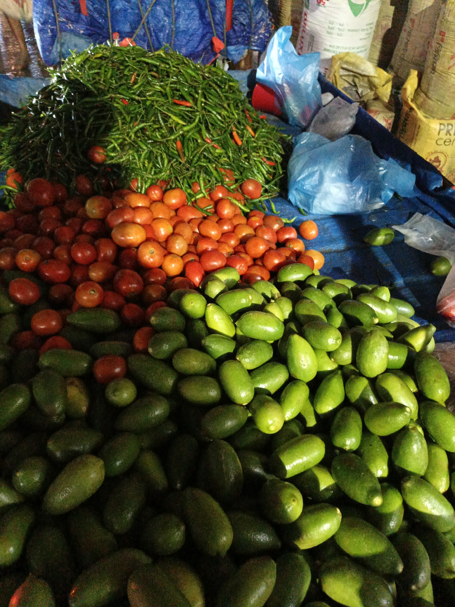 The image shows a market stall in Unknown, Unknown, featuring piles of fresh produce. At the top is a mound of green chili peppers with a few red ones interspersed. Below them is a layer of ripe tomatoes. The bottom layer consists of green avocados. To the right of the produce are several plastic bags and sacks of unidentified items. The entire display is set on a blue tarp.