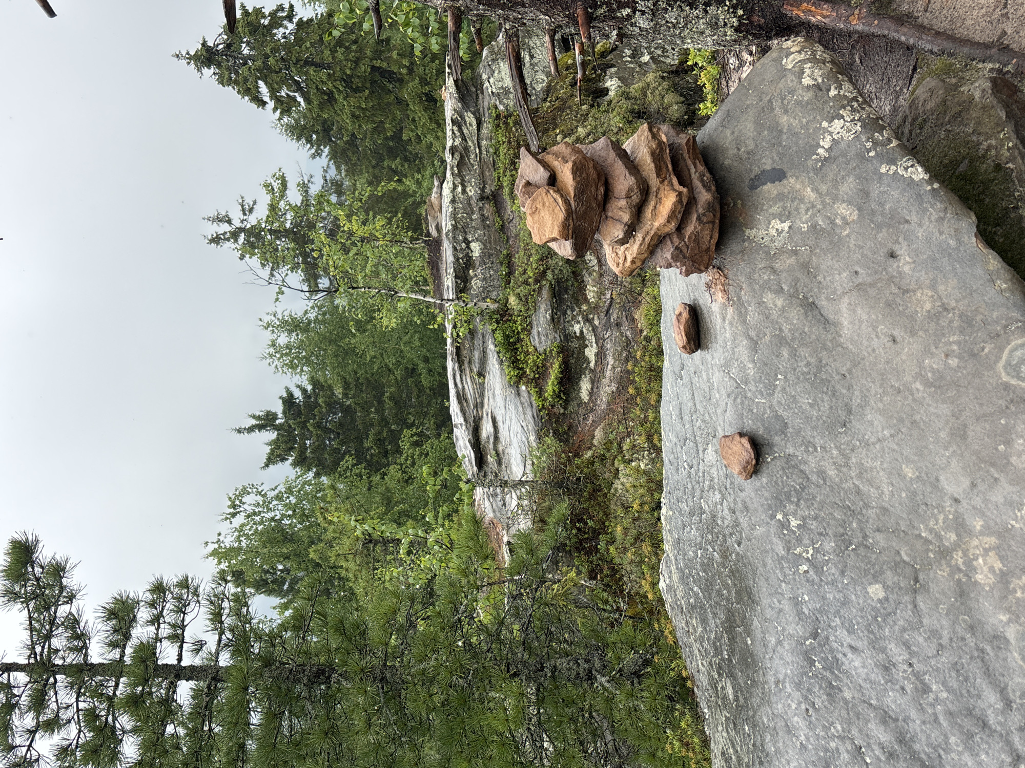 The image depicts a natural outdoor scene with a focus on a rock cairn. The cairn, composed of stacked reddish-brown stones, sits on a large, flat grey rock in the foreground. To the left of the cairn, also on the grey rock, are two smaller, solitary stones.
The environment is a forest with a slightly overcast sky, suggesting damp weather. Numerous trees, primarily evergreens with some deciduous trees interspersed, form a dense background. The ground cover around the rocks is a mix of moss, small green plants, and exposed soil. In the middle ground, a larger, layered rock formation is visible, also covered with moss. The overall impression is one of a rugged, natural landscape.
There are no people visible in the image. The scene appears to be a trail or a viewpoint within a forested area, possibly a natural park or reserve. The location is identified as Shumikhinskii, Russia, implying this is a natural setting within or near that city. The forensic details are limited to the physical objects and the environment as observed.