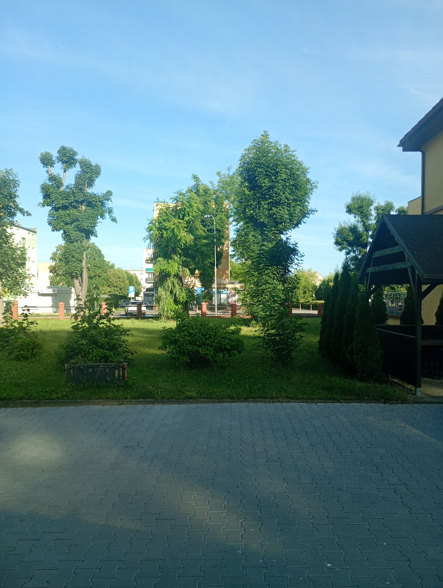 The image captures a sunny day in Międzyrzecz, Poland, showcasing a public area adjacent to residential buildings and a gazebo. The foreground is dominated by a paved walkway made of interlocking gray pavers, with shadows indicating the direction of the sun. Beyond the walkway lies a well-maintained lawn dotted with small green bushes and a few larger trees. In the mid-ground, a row of tall, dark green evergreen trees stands to the right, bordering a dark-colored gazebo with a pitched roof. The gazebo appears to be constructed of wood and is open on one side, revealing seating inside. Behind the lawn, a low, brick fence with decorative posts separates the green space from a street. Across the street, several multi-story buildings are visible, including a light-colored residential building on the left and taller buildings with balconies and windows in the center and right. The sky is a clear, bright blue with a few faint wispy clouds. The overall scene suggests a peaceful, urban environment with recreational amenities.