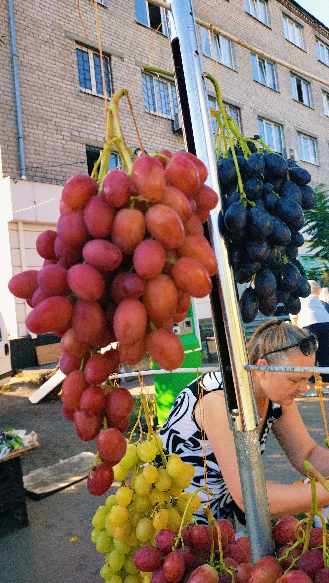 This is a medium shot, taken outdoors, of a stall selling grapes in the city of Horishni Plavni, Ukraine. In the foreground, three bunches of grapes hang from a metal pole: a large bunch of red grapes on the left, a bunch of dark purple grapes to its right, and a smaller bunch of green grapes lower down, with another bunch of red grapes below that. A woman, wearing a black and white patterned top and sunglasses perched on her head, is visible on the right side of the frame, tending to the grapes. Behind the stall, a multi-story brick building with multiple windows is visible. The ground appears to be paved.