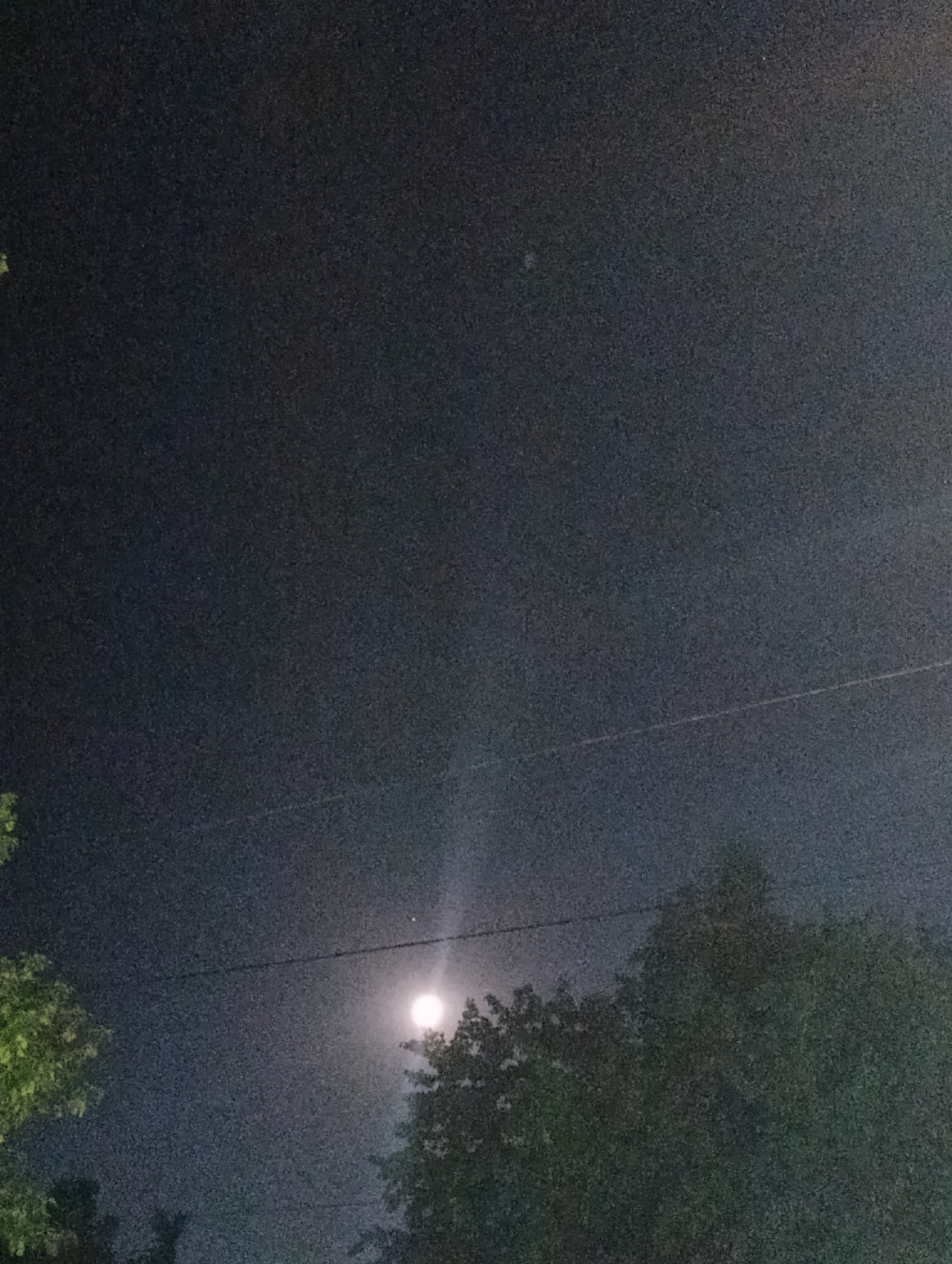 The image shows a night sky with the moon visible, emitting a bright glow. Trees are silhouetted against the sky in the foreground and middle ground, with foliage visible on the right side of the image. A thin horizontal line, possibly a power line or wire, stretches across the frame. The overall scene appears to be outdoors in a semi-urban or rural setting. The location is specified as Novopokrovka, Kyrgyzstan.