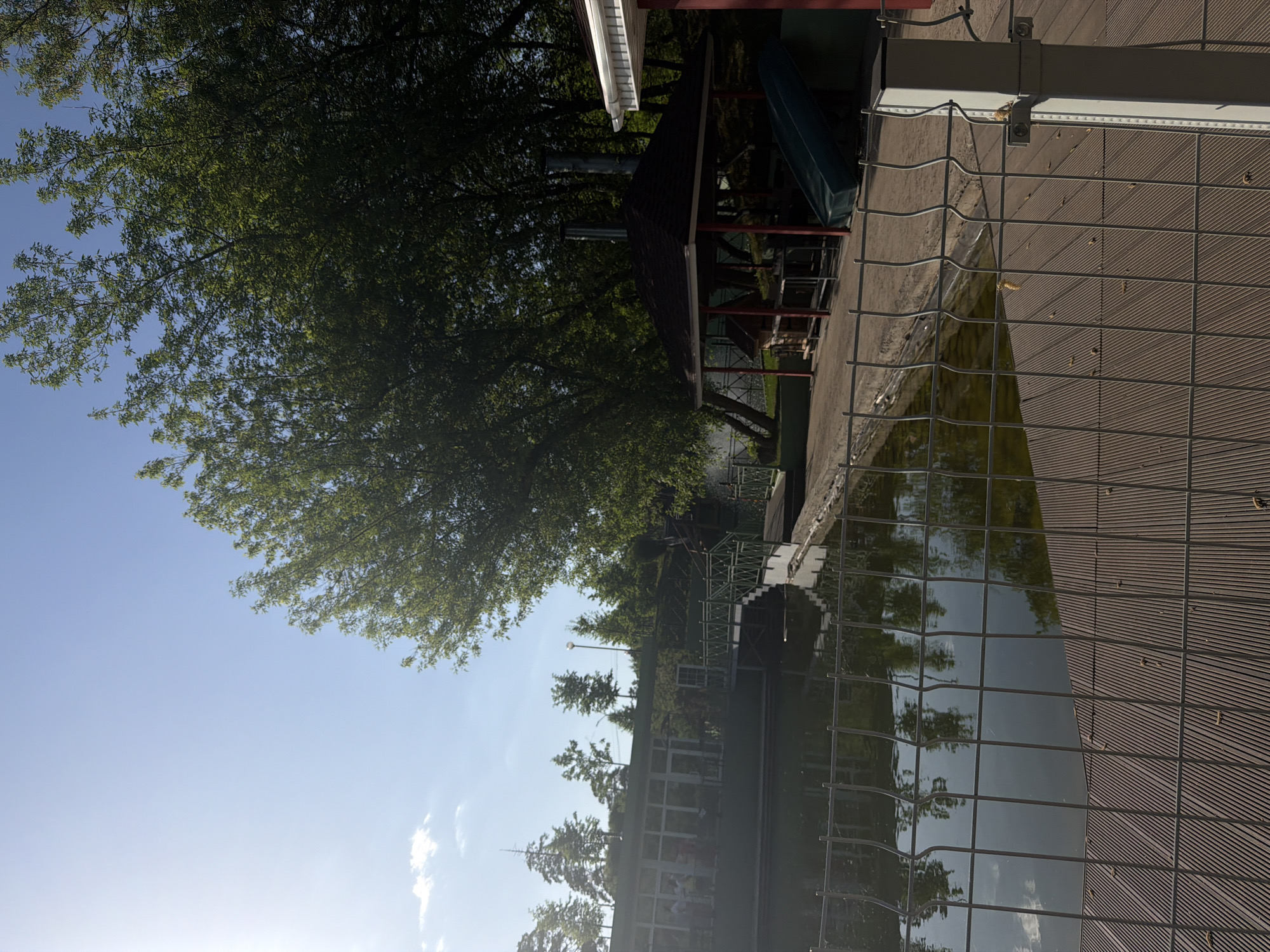 The image depicts a waterfront scene on a sunny day. A large tree dominates the left side of the frame, partially obscuring a building with a red roof and a green canoe stored on top. The foreground consists of a wooden deck with a wire fence bordering a body of water. Reflections of the trees and buildings are visible on the water's surface. The location appears to be in a park or recreational area, potentially near a lake or river. The city of Izhevsk, Russia cannot be confirmed as the location based on the visual information provided.