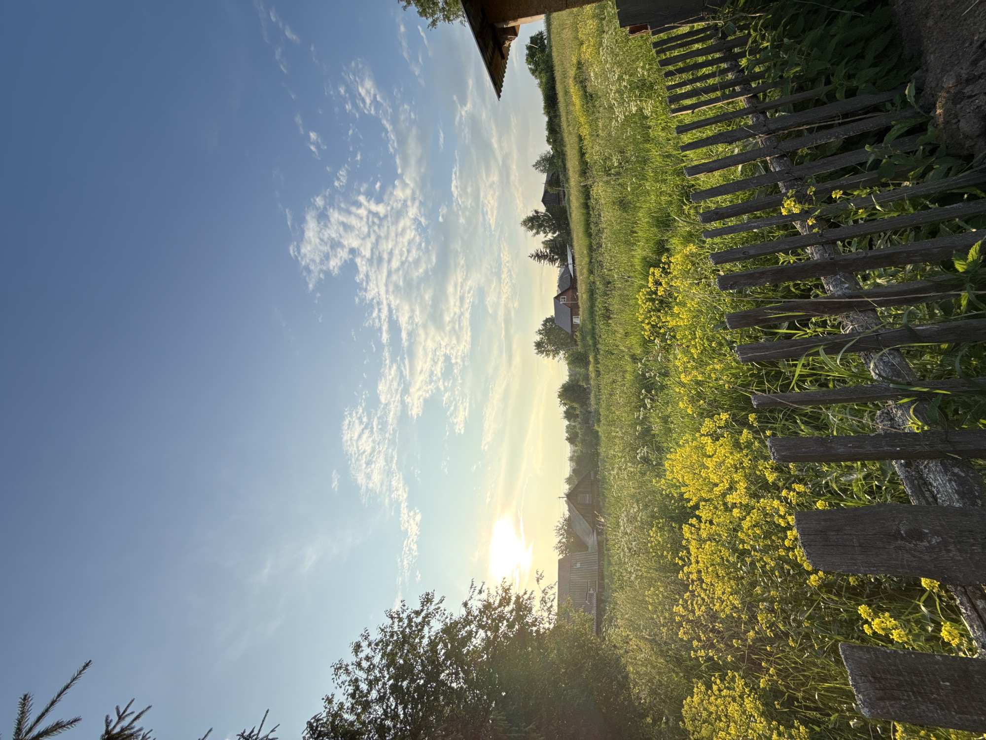 The image depicts a rural landscape in Nizhnyaya Chermoda, Russia. A rustic wooden fence runs diagonally across the foreground, with weathered pickets showing signs of age. Beyond the fence, a vibrant field of yellow wildflowers and lush green grass stretches into the distance. Several traditional wooden houses with dark roofs are nestled amongst trees on a gentle slope in the mid-ground. The setting sun casts a warm glow across the scene, illuminating the sky with soft yellow and orange hues, while scattered white clouds drift across the bright blue expanse. The overall impression is one of tranquility and natural beauty in a rural village setting.