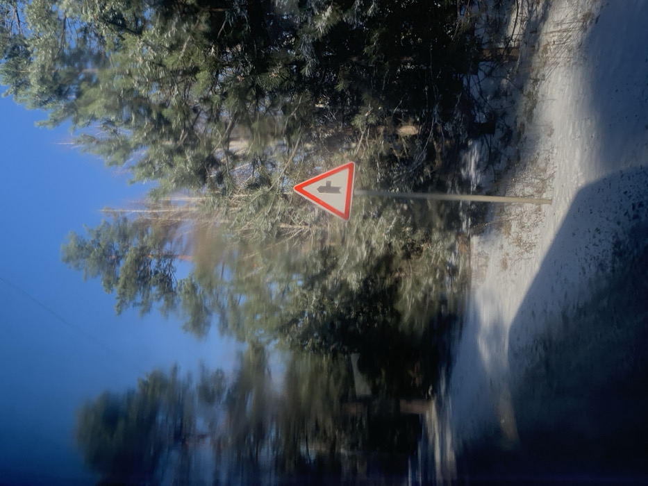 The image displays a winter roadside environment in Kozyn, Ukraine, captured from a moving vehicle. The upper third of the frame shows a clear, bright blue sky. Below, a dense aggregation of evergreen trees, likely pines, with some interspersed bare deciduous trees, forms a forest line parallel to the road. These trees exhibit a light coating of snow or frost.
A triangular road warning sign is positioned in the midground, slightly right of the vertical center. The sign features a red border enclosing a white background, upon which a black symbol depicts a vertical main road with a perpendicular horizontal line extending from its right side, angled slightly upwards, indicating a right-hand side road junction ahead. The sign is mounted on a slender, light-colored pole.
The ground to the right of the road is covered in snow, revealing intermittent patches of dry grass. The lower-left quadrant of the image shows a dark road surface, partially snow-covered and horizontally blurred, consistent with motion. An elongated, dark shadow extends across the road and snow-covered shoulder from the left, likely cast by the vehicle from which the photograph was taken. No individuals or discernible human activity are present.
