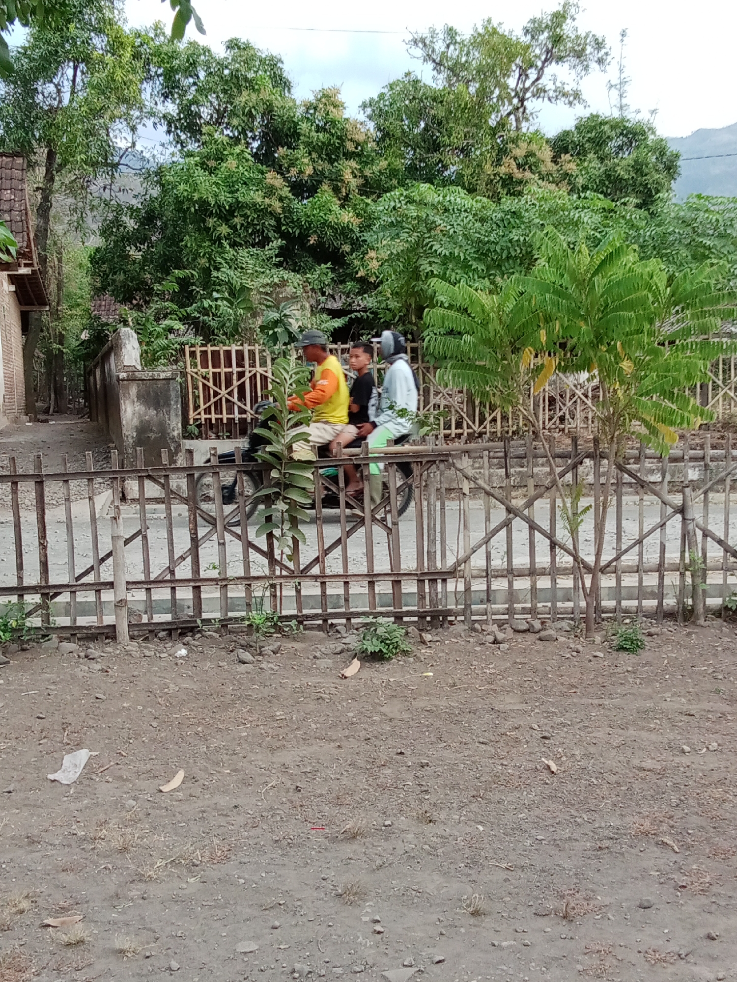 In a rural setting, likely in Selowogo, Indonesia, two individuals are on a motorcycle. The person in the front is wearing a yellow t-shirt and a dark cap, while the person behind them is wearing a light blue shirt and a helmet. They are positioned on a road that appears to be paved with a gray material. A wooden fence made of thin, vertical poles and crisscrossed horizontal supports runs in front of the road. Beyond the fence, a variety of green foliage, including trees and smaller plants, dominates the background. A building with a tiled roof is partially visible on the left side of the image. The ground in the foreground is a mixture of dirt, small stones, and sparse vegetation. The sky is overcast.