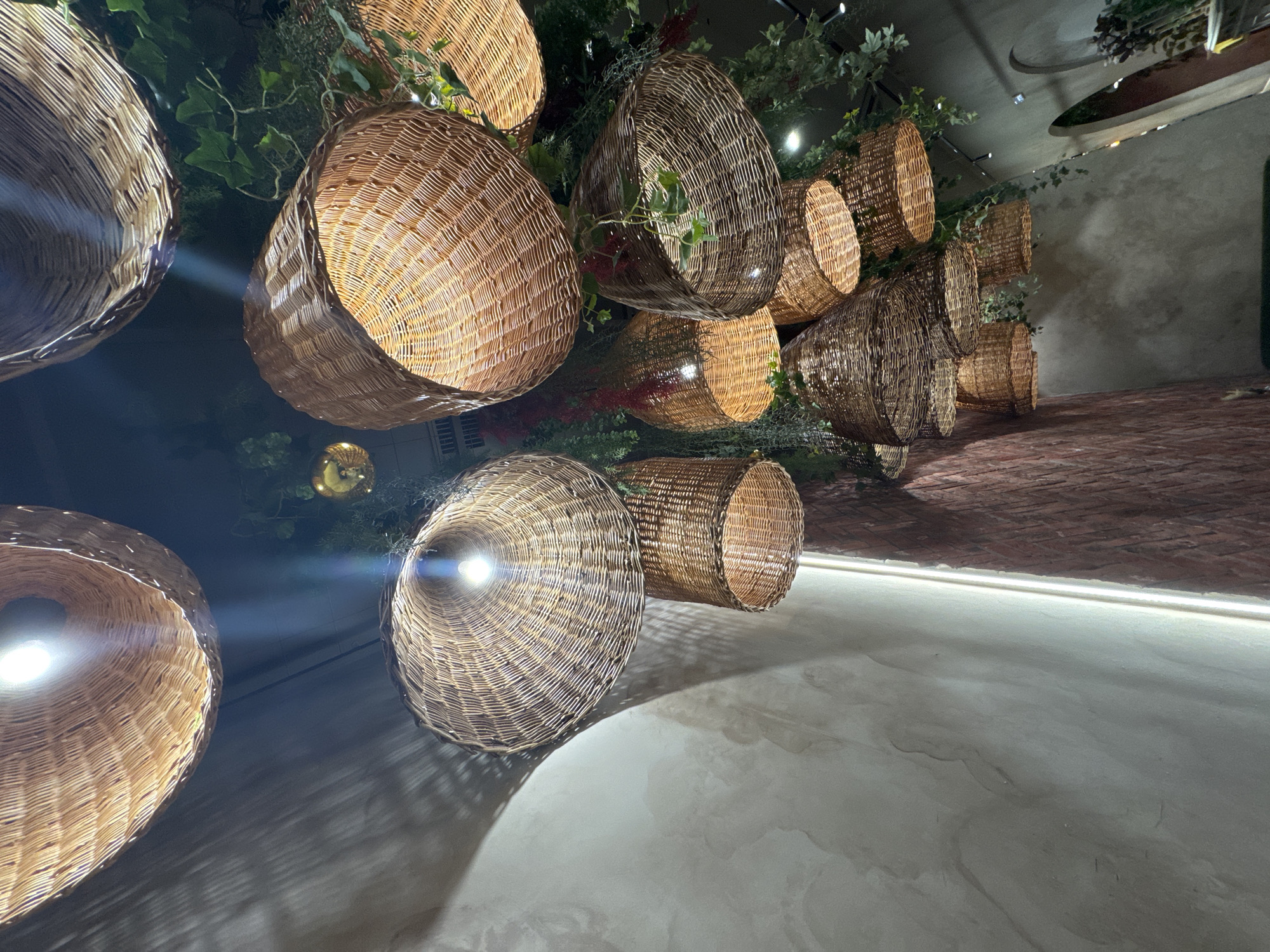 The image shows a low-angle, interior shot of several wicker basket pendant lights hanging from a dark ceiling. The lights are illuminated from within, casting a warm glow and creating distinct shadows on a textured light-colored wall and a brick wall. Green foliage is intertwined with the lights, suggesting a natural or bohemian decor style. The overall ambiance is warm and inviting, with a focus on the unique lighting fixtures. The location is not discernible from the image, and no people are present.