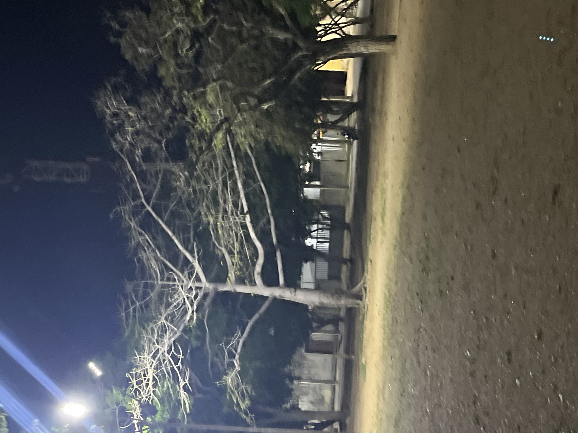 This is a nighttime photograph taken in Santa Ana, Venezuela. The scene depicts an outdoor area, likely a park or public space, characterized by trees and bare ground.
In the foreground, a sandy or dirt-covered area is visible, with some scattered debris or small objects. The ground transitions into a grassy area further back.
Dominating the mid-ground are several trees. A large, bare-branched tree with a thick trunk stands prominently on the left side, its delicate, leafless branches reaching outwards. To the right of this, other trees with fuller foliage are present, some appearing larger and more mature.
In the background, structures are partially visible, including a light-colored wall or building with some openings, possibly windows or doorways. A metal fence or railing is also discernible. The overall lighting suggests artificial illumination, likely from streetlights or nearby buildings, casting shadows and creating a somewhat dim atmosphere. The sky is dark, indicating nighttime. There are no people or discernible animals in the frame.