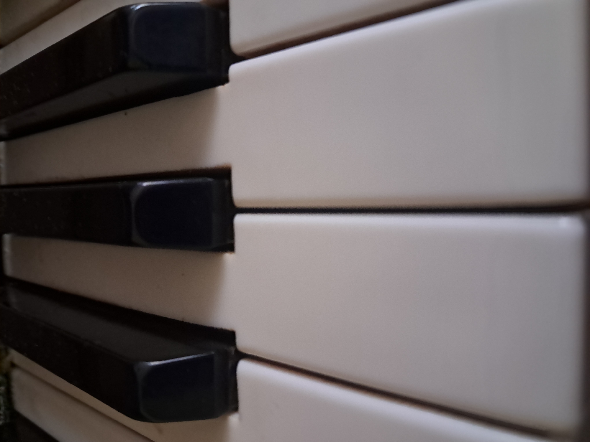 The image shows a close-up, low-angle view of piano keys. There are three black keys and several white keys visible. The keys appear to be made of plastic or a similar material. The perspective suggests the viewer is looking up at the keys, possibly from the floor or a low seating position. The background is dark and out of focus, hinting at the interior of a piano or a dimly lit room. There are no people or discernible actions depicted in the image. The setting is not specific to any city, as the image focuses solely on the piano keys.