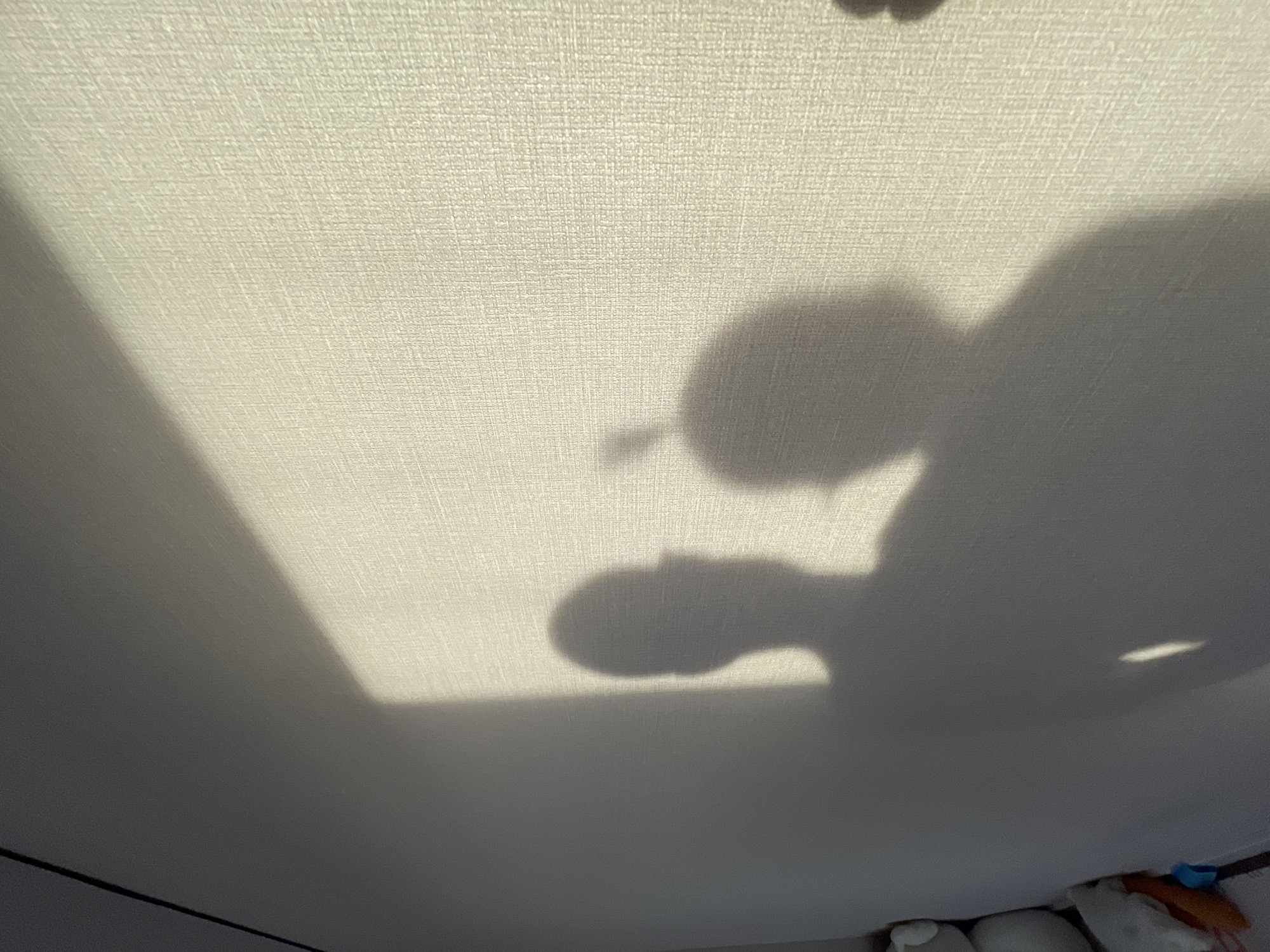 The image shows shadows cast on a textured, light-colored surface, likely a wall or ceiling. A strong light source, possibly sunlight, is creating the shadows. On the left, a geometric shadow suggests an opening or an object with straight edges, like a window or a frame. To the right, the shadows are softer and more amorphous, depicting what appear to be human figures or perhaps objects with rounded shapes. One prominent shadow in the center-right resembles a head with a rounded top, and below it, a smaller, detached shadow could be a hand or another limb. Further to the right, another large shadow appears to be a person's torso and head. The light appears to be coming from a low angle, suggesting it is either early morning or late afternoon. The overall impression is of a quiet, indoor scene, possibly a room in a home, where the play of light and shadow creates an abstract and somewhat serene atmosphere. The texture of the surface is visible throughout, adding a tactile quality to the image. There is no visible text in the image.