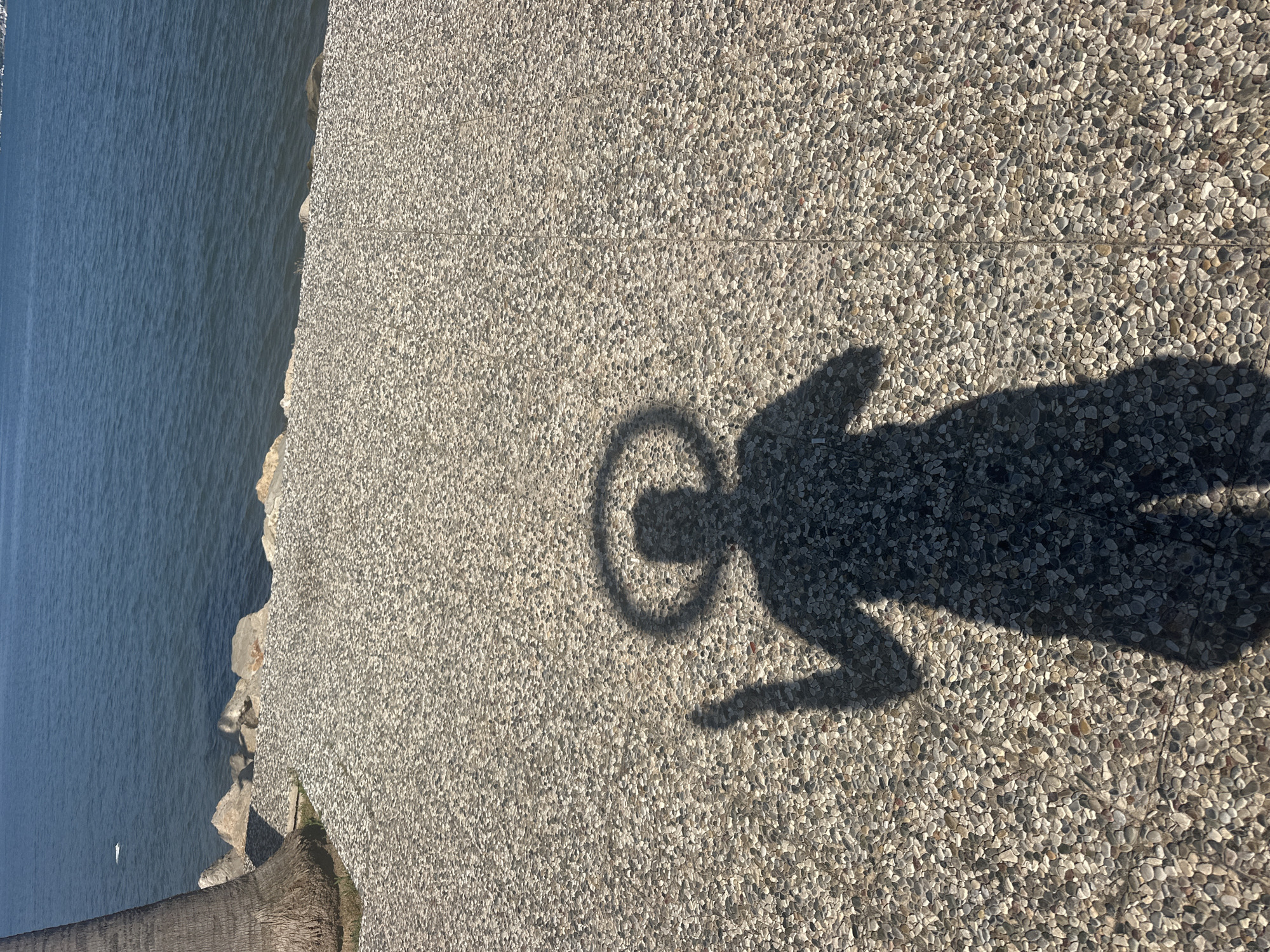 The image captures a sunlit coastal scene in Fethiye, Turkey, featuring a prominent shadow cast on a pebbled walkway. The central subject is the dark, full-body shadow of an individual, depicted with a distinct circular halo encircling the head and the left arm raised, extending an index finger upwards. The shadow stands upon a light-colored, textured pathway composed of small, multi-toned aggregate stones, segmented into visible square or rectangular panels. To the far left, a section of a rough-barked palm tree trunk is visible. Beyond the pebbled path, a low, rocky embankment transitions into calm, deep blue water, indicative of a sea or bay. Distant landmasses or structures are faintly visible across the water horizon. The clear, strong shadow suggests bright sunlight, originating from behind the person.