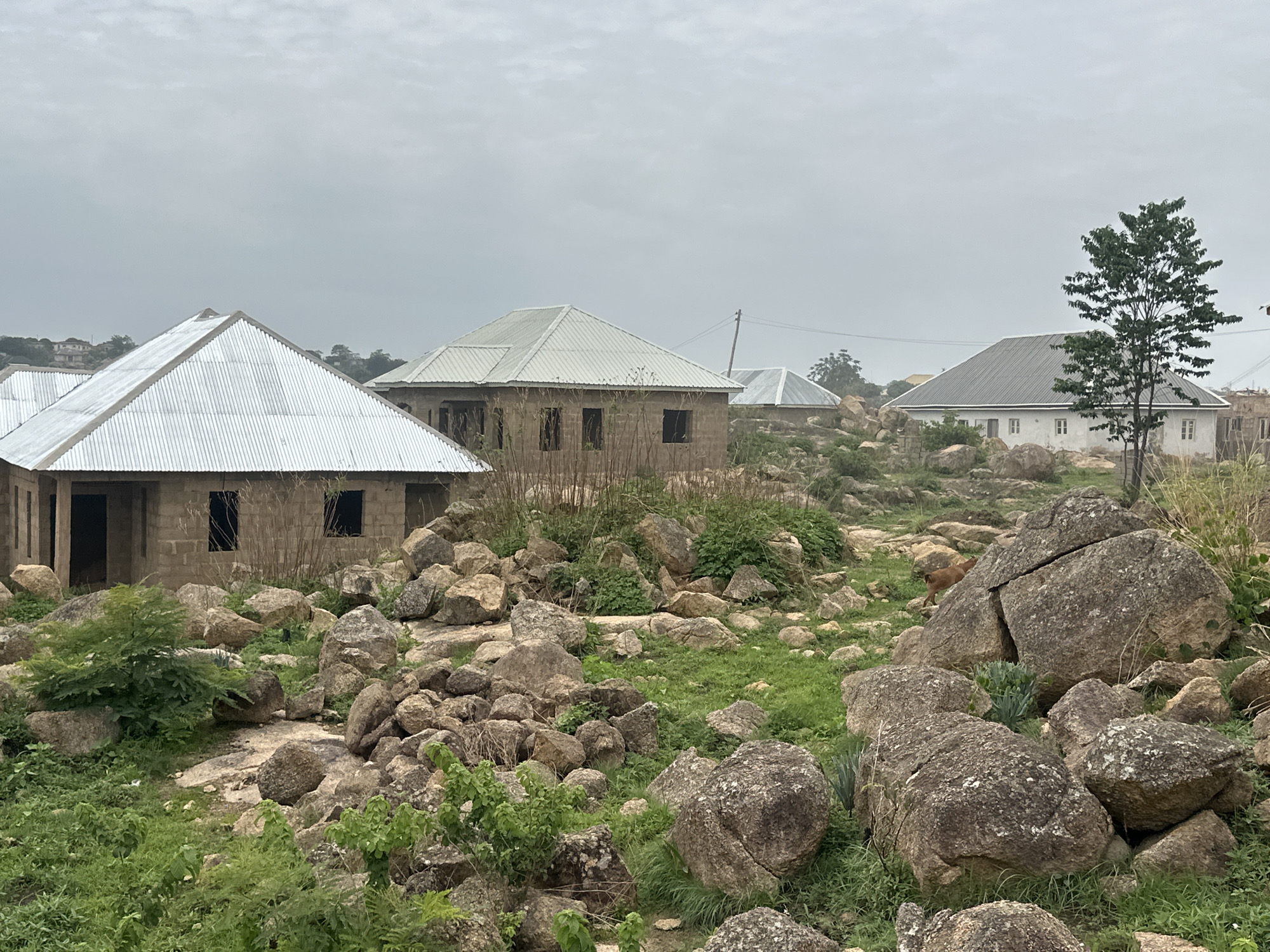 The image depicts a construction site for several single-story buildings in Jos, Nigeria. The buildings appear unfinished with cinder block walls and corrugated metal roofs. The surrounding terrain is rocky with large boulders scattered across the landscape and sparse vegetation. The sky is overcast. A tree stands near one of the completed buildings. A dog stands amidst the boulders. Electrical power lines are visible in the background.