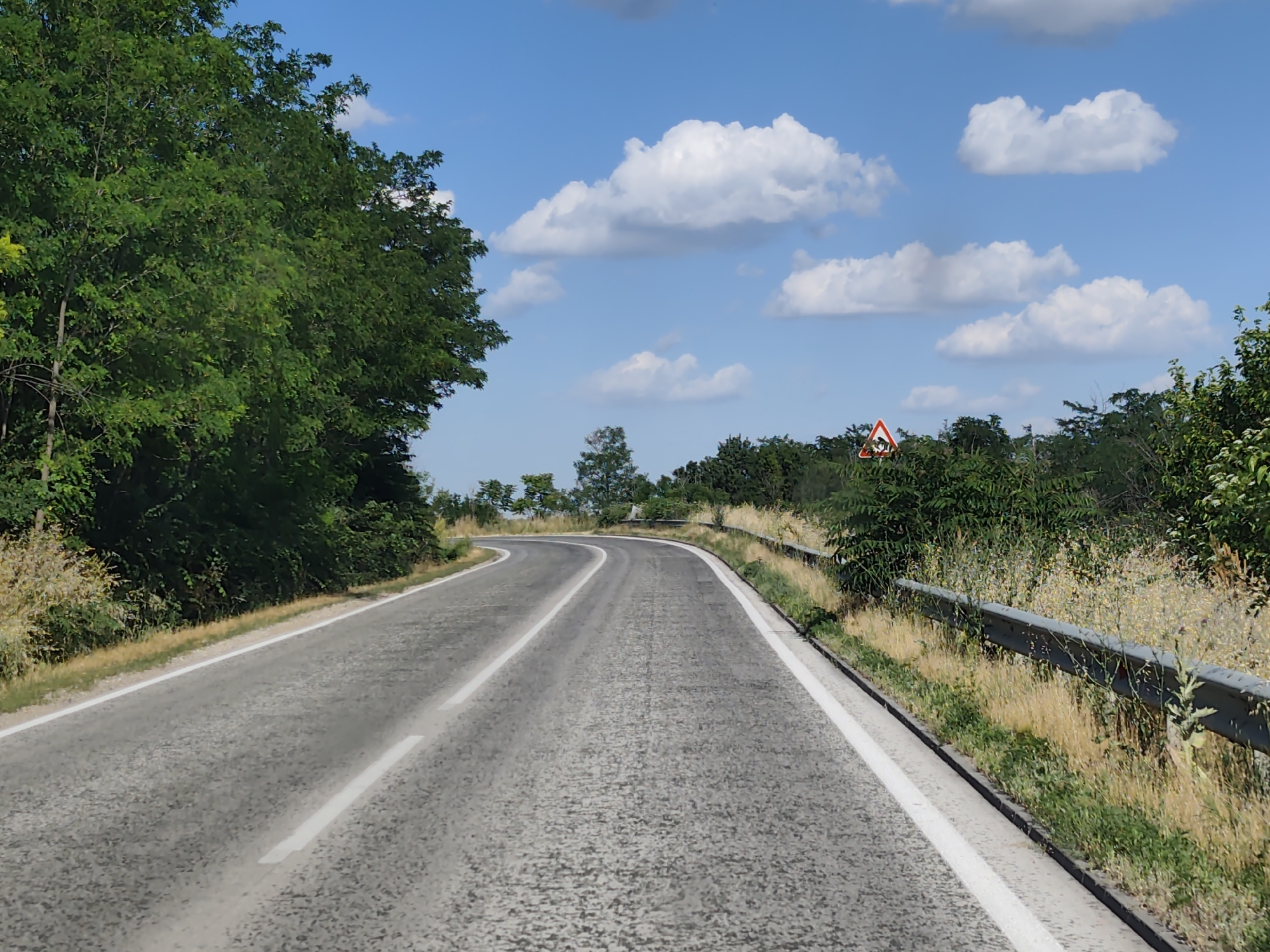 The image captures a scenic view of a paved, two-lane road curving through a rural landscape. Lush green trees line the left side of the road, while the right side features a metal guardrail bordering dry, tall grass and further trees. The sky is a vibrant blue, dotted with fluffy white clouds, suggesting fair weather. In the distance, a triangular road sign with a red border and a black symbol is visible on the right side of the road. The road itself appears to be in good condition, with white lane markings. This scene is located on the outskirts of Strezherovo, Bulgaria, on a sunny day. There are no people or animals visible in the image.