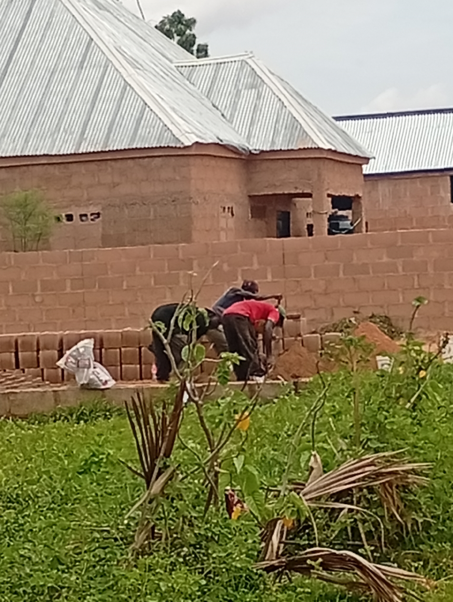 In Tumfure, Nigeria, a construction scene unfolds with several individuals actively engaged in building. The primary focus is on three men working with bricks and cement. One man, dressed in a black shirt and dark pants, is bent over, seemingly mixing or preparing materials. Another, wearing a red t-shirt and dark pants, is also stooped, with a shovel in hand, suggesting he is either moving or applying the cement mixture. A third individual, partially obscured, appears to be assisting in the process.
The construction site features buildings under construction, characterized by unfinished brick walls and corrugated metal roofs, indicative of typical Nigerian architecture. Stacks of bricks are visible, ready for use, alongside a pile of sand, a common material for cement mixing. In the foreground, lush green vegetation, including grass and plants, creates a natural contrast to the man-made structures. A white plastic bag, possibly containing supplies or waste, lies near the bricks. The overall environment suggests an active construction project taking place outdoors in a semi-urban or rural setting. The sky is overcast, contributing to a diffused natural light.
