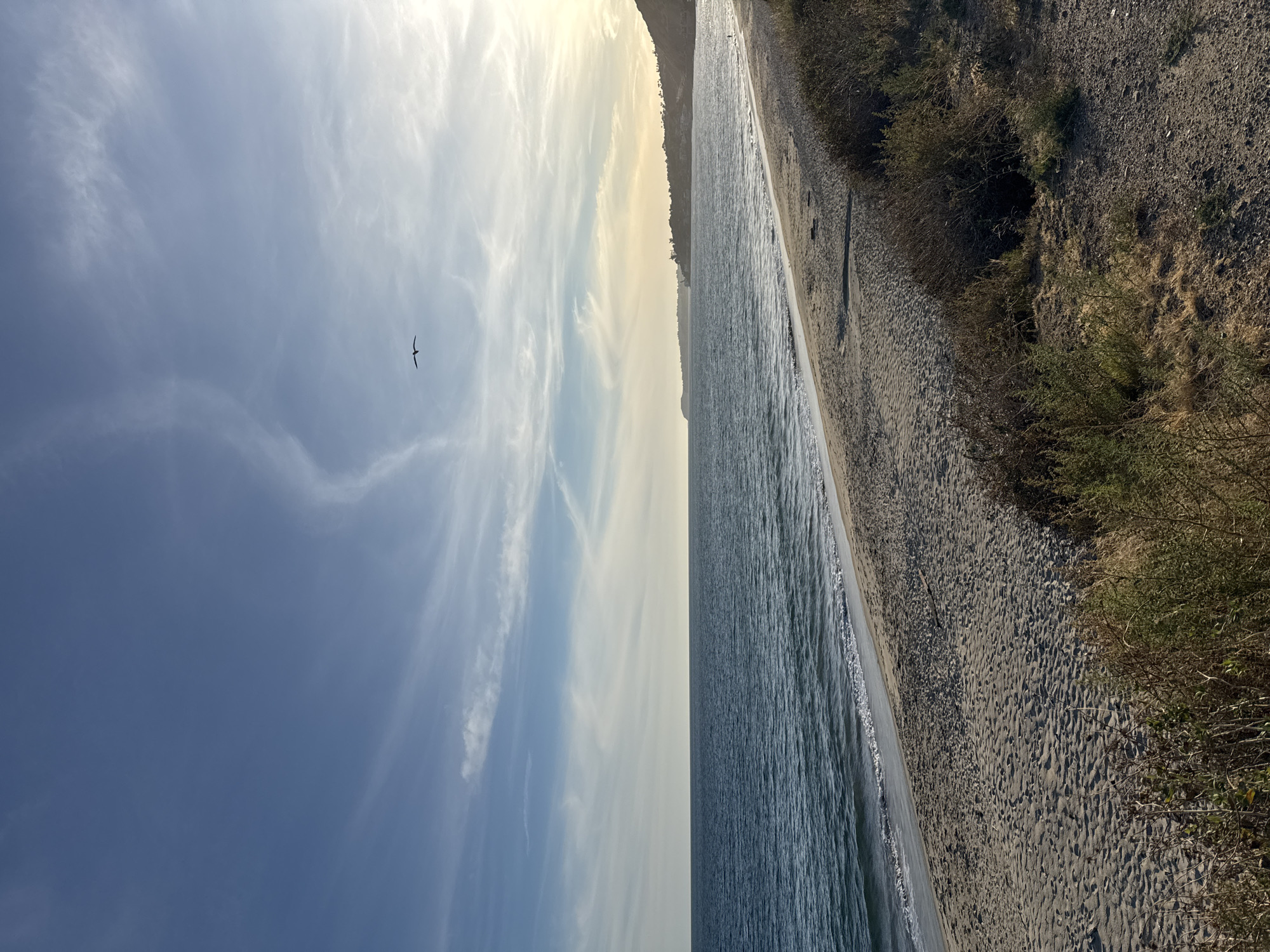The image shows a beach scene in Malibu, United States of America. The sky is blue with scattered white clouds, and a single bird is flying in the left side of the frame. The ocean is a dark blue color, and waves are visible along the shoreline. The beach is sandy, and there is vegetation growing on the dunes to the right. The image is slightly tilted.