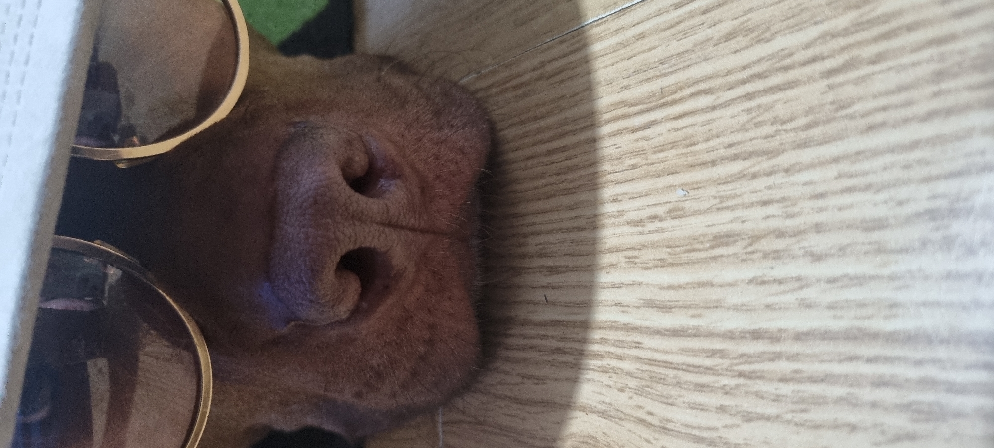 A close-up shot captures the snout and muzzle of a reddish-brown dog on the left side of the frame. The dog is wearing sunglasses with metallic, possibly gold-colored, frames, the dark lenses of which are partially visible. Only the textured nose and the immediate muzzle area are in focus, showing distinct nostrils and fine fur. The dog appears to be in a relaxed state, possibly resting or lying down.
To the right, a light-colored wooden surface, possibly a floor or table, occupies the majority of the frame. It exhibits a prominent diagonal grain pattern. A sharp shadow line runs diagonally across the wooden surface, indicating bright, directional lighting, likely from a window. The overall illumination is clear and bright, suggesting daytime.
The image conveys a playful and whimsical moment due to the dog's unusual accessory. There is no visible text. The scene is set indoors, presumably in a home in Sofia, Bulgaria.