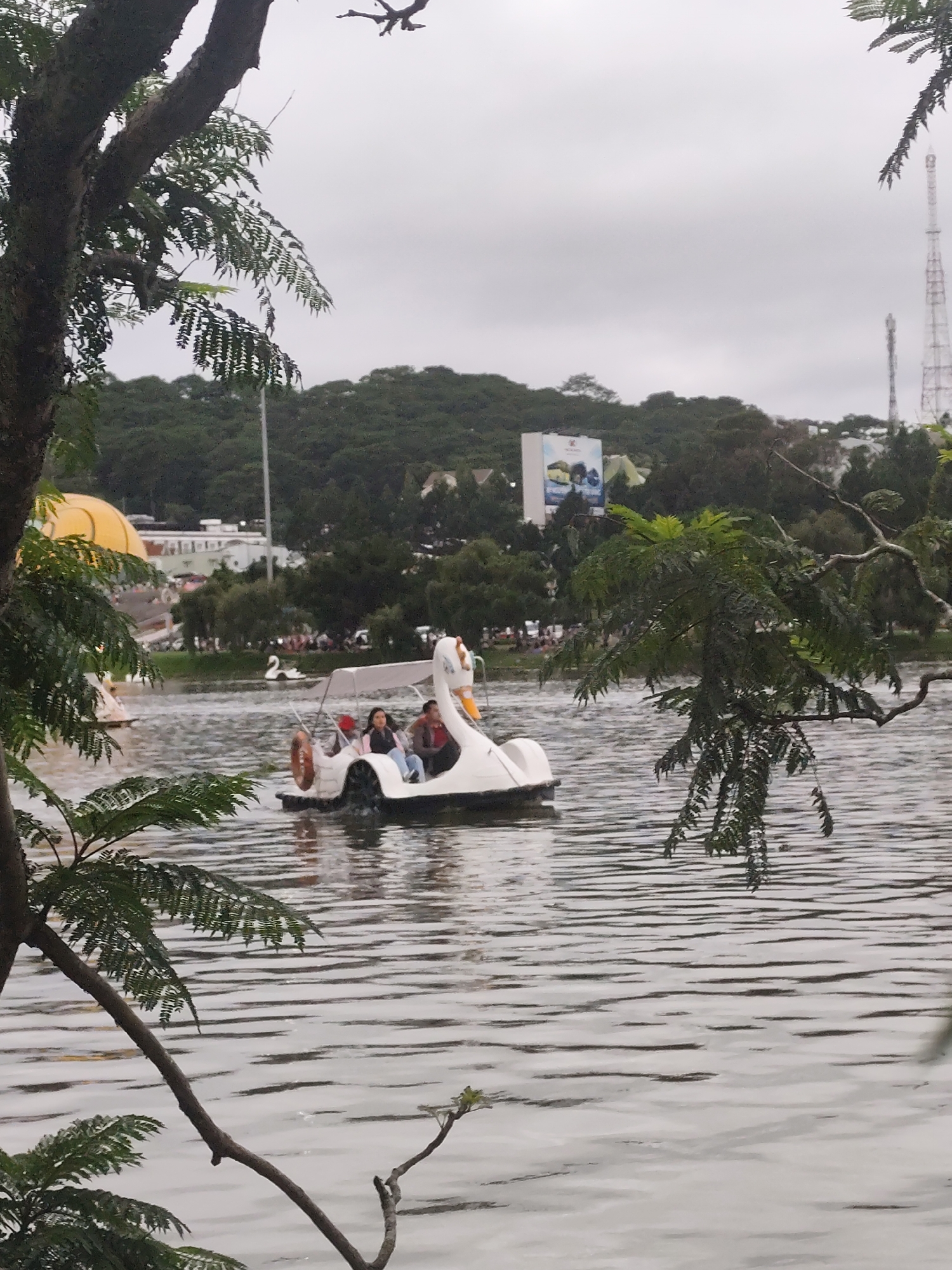 In Phường Xuân Hương, Đà Lạt, Vietnam, a swan-shaped paddle boat carrying a man and a woman floats on a lake. The lake is rippled with waves. Trees frame the image on the left and right sides. In the background, a city landscape includes buildings and a telecommunications tower against an overcast sky.