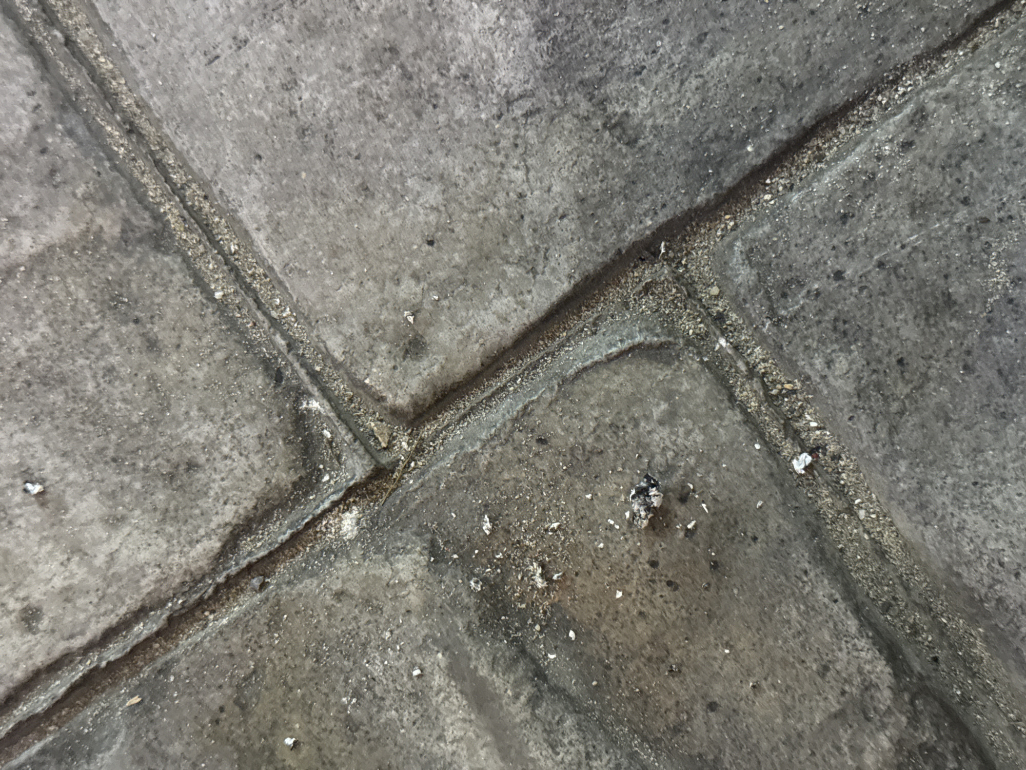 The image is a close-up, overhead view of a paved surface, likely outdoors, possibly a sidewalk or patio. The paving stones are irregular in shape and laid in a pattern with visible grout lines between them. The surface is predominantly gray, with variations in tone and texture. Small pieces of debris, such as pebbles, sand, and possibly ash, are scattered across the surface and accumulated in the grout lines. The lighting suggests it is daytime, and the overall impression is of a well-worn, utilitarian outdoor space. There are no people or specific objects of interest, the focus is entirely on the texture and pattern of the paving. The location context is Karon, Thailand, but there are no specific visual cues in the image to confirm this. The image is purely a textural study of the ground.