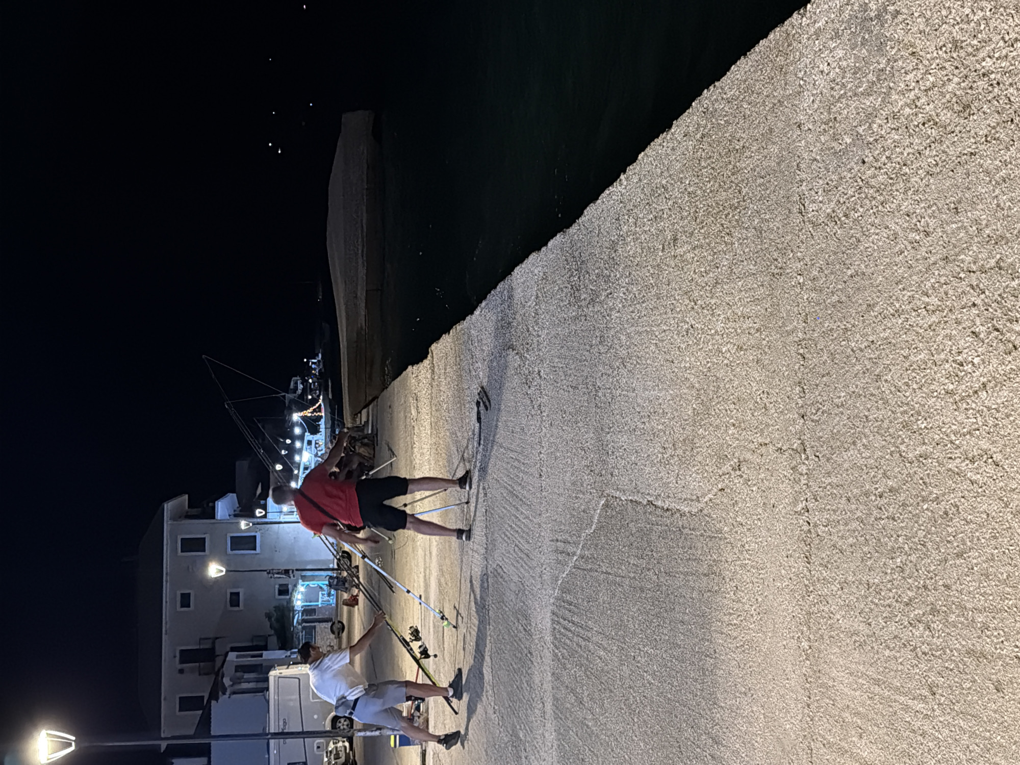 Two men are fishing at night on a concrete pier in the Municipal Unit of Alyzia, Greece. The man on the left is wearing a white t-shirt and grey shorts, holding two fishing rods. The man on the right is wearing a red t-shirt and black shorts, standing with his fishing rods. Several other fishing rods are set up on tripods nearby. The pier is made of rough concrete and slopes down to the dark water. In the background, buildings and lights are visible, suggesting a waterfront town. The sky is dark, indicating nighttime.