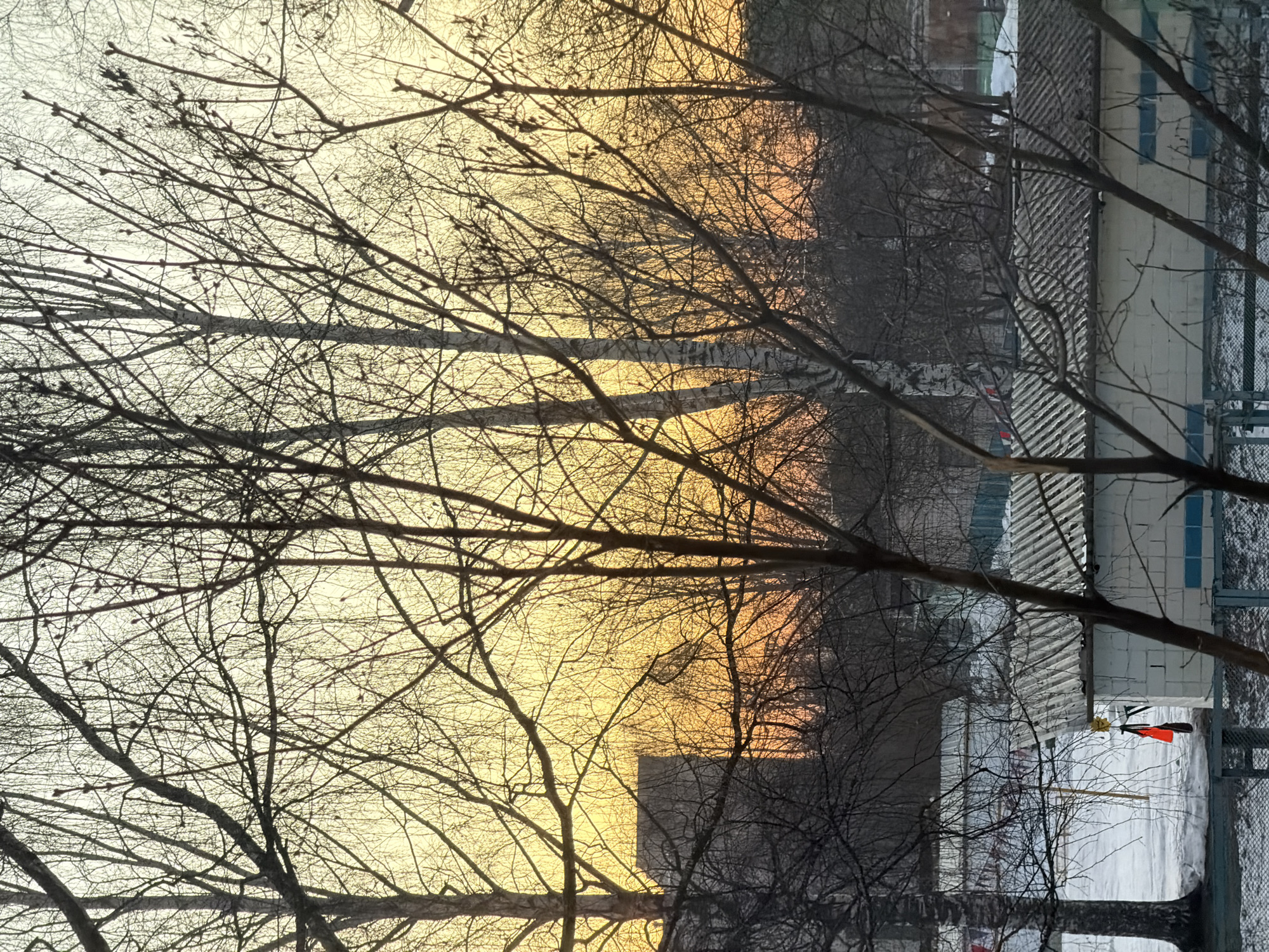 The image appears to be taken outdoors at twilight or sunrise, possibly in Izhevsk, Russia, due to the architecture and environment depicted. The foreground is dominated by bare tree branches, indicating it is likely late autumn or winter. Through the branches, a building with light-colored brick or concrete construction is partially visible. There appears to be snow on the ground near the building. A fence is also discernible near the building. The background sky is a mix of colors ranging from a light grey to yellow and orange near the horizon, indicating either dawn or dusk. There are no people visible in the image.