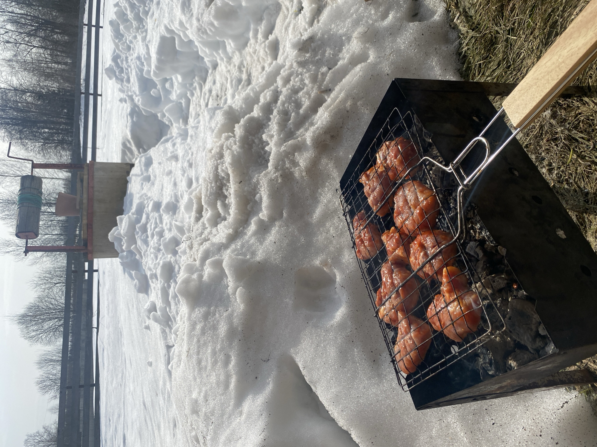 The scene depicts an outdoor environment in Zhigalki, Russia, under bright daylight. In the foreground, a black, rectangular metal brazier (mangalnitsa) rests on the ground, containing glowing charcoal. Eight pieces of raw, marinated meat, consistent with chicken or pork shashlik, are held within a metal grilling basket with a wooden handle, positioned directly over the coals. The immediate ground around the brazier shows patches of dry, brown grass mixed with partially melted snow. Further back, irregular mounds of melting snow cover the terrain. In the mid-ground, a concrete and red-painted well structure with a wooden winding mechanism is visible, featuring a light brown bucket hanging from it. Behind the well, a dark wooden fence spans the width of the scene. The background reveals a dense line of bare deciduous trees under a bright, hazy sky. No individuals are present in the image.