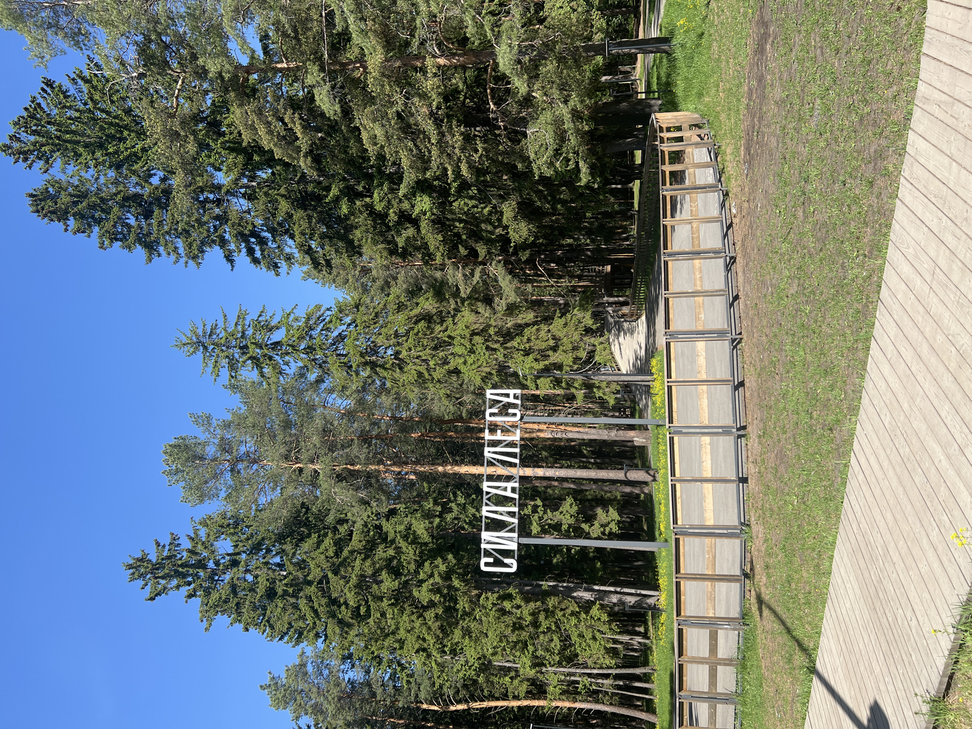 The image depicts a scene at the "Sila Lesa" eco-trail in Votkinsk, Russia. The eco-trail is lined with tall coniferous trees and features a wooden walkway. A sign with white Cyrillic letters spelling "СИЛА ЛЕСА" (Sila Lesa), which translates to "Power of the Forest," is visible. There are no people visible in the shot. The surrounding environment includes grass and trees under a blue sky.