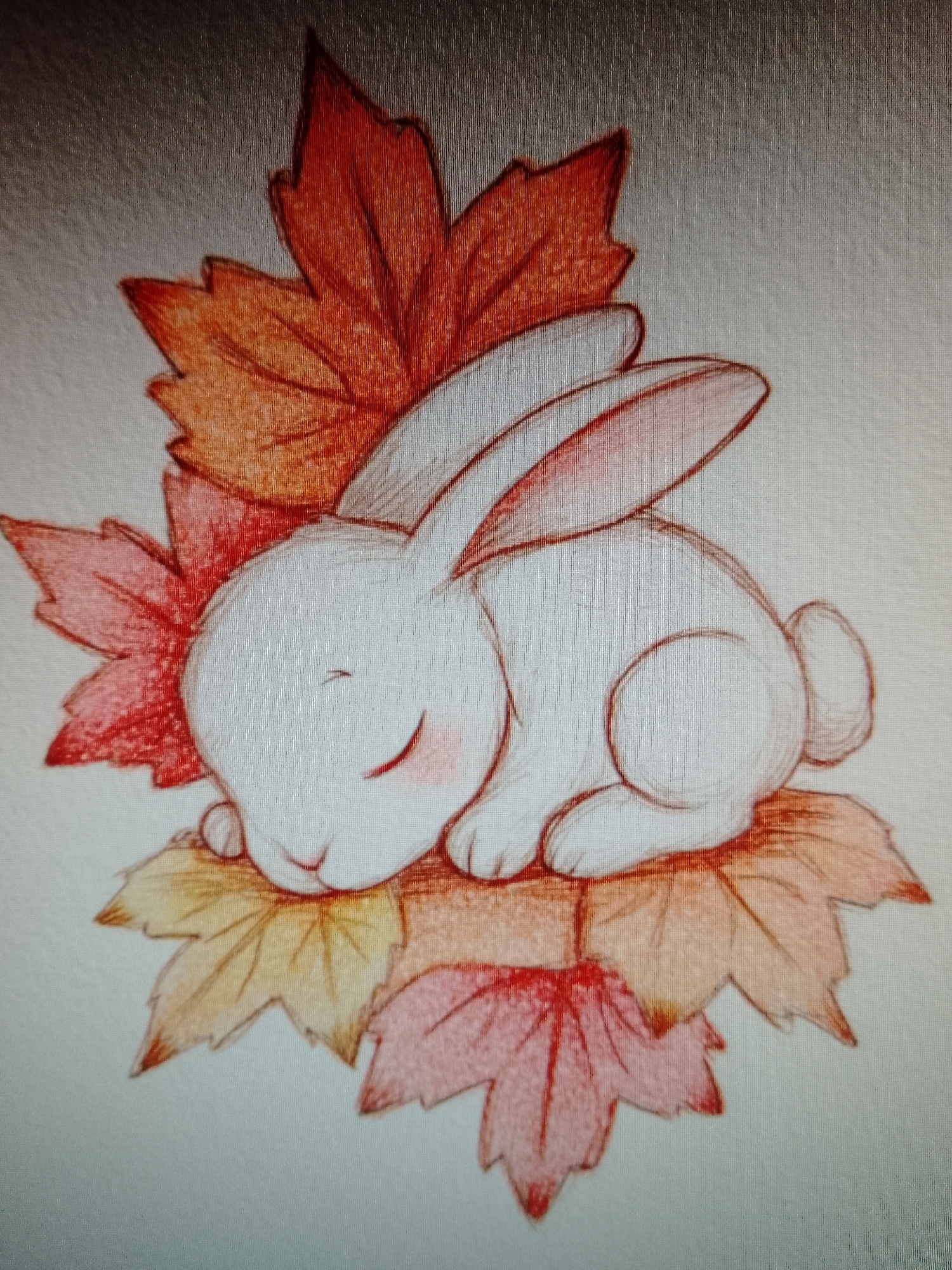 The image is a drawing of a white rabbit curled up asleep on a pile of autumn leaves. The leaves are colored in shades of red, orange, and yellow. The rabbit has closed eyes, pink cheeks, and a small pink nose.