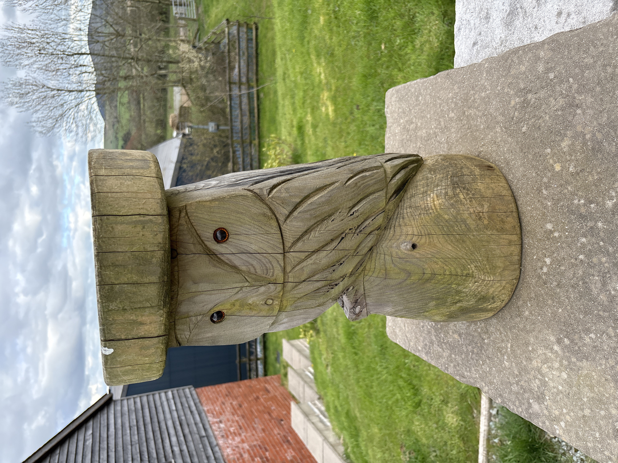A close-up, outdoor shot depicts a wooden sculpture resembling a bird's head, possibly an owl or hawk. The sculpture rests on a stone plinth with a weathered surface. The "eyes" of the bird are represented by dark, circular cavities. The wood grain is visible, indicating the natural material. The sculpture features stylized carvings to suggest feathers. The background consists of a grassy area, buildings with red brick and gray siding, and distant trees and hills under a partly cloudy sky. The exact location in Shrewsbury, United Kingdom, cannot be determined from the visual evidence alone.